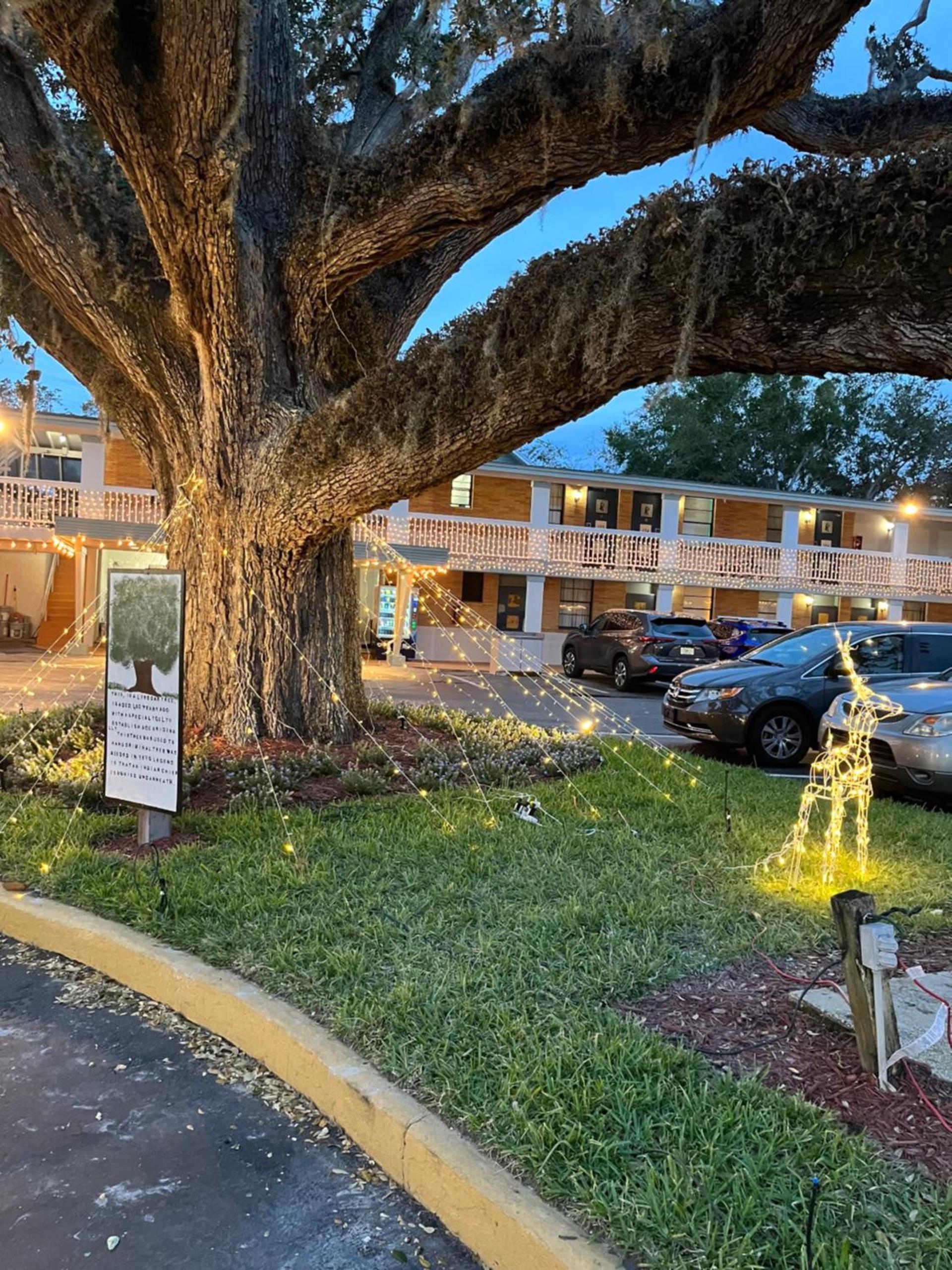 Castillo Inn photo 11