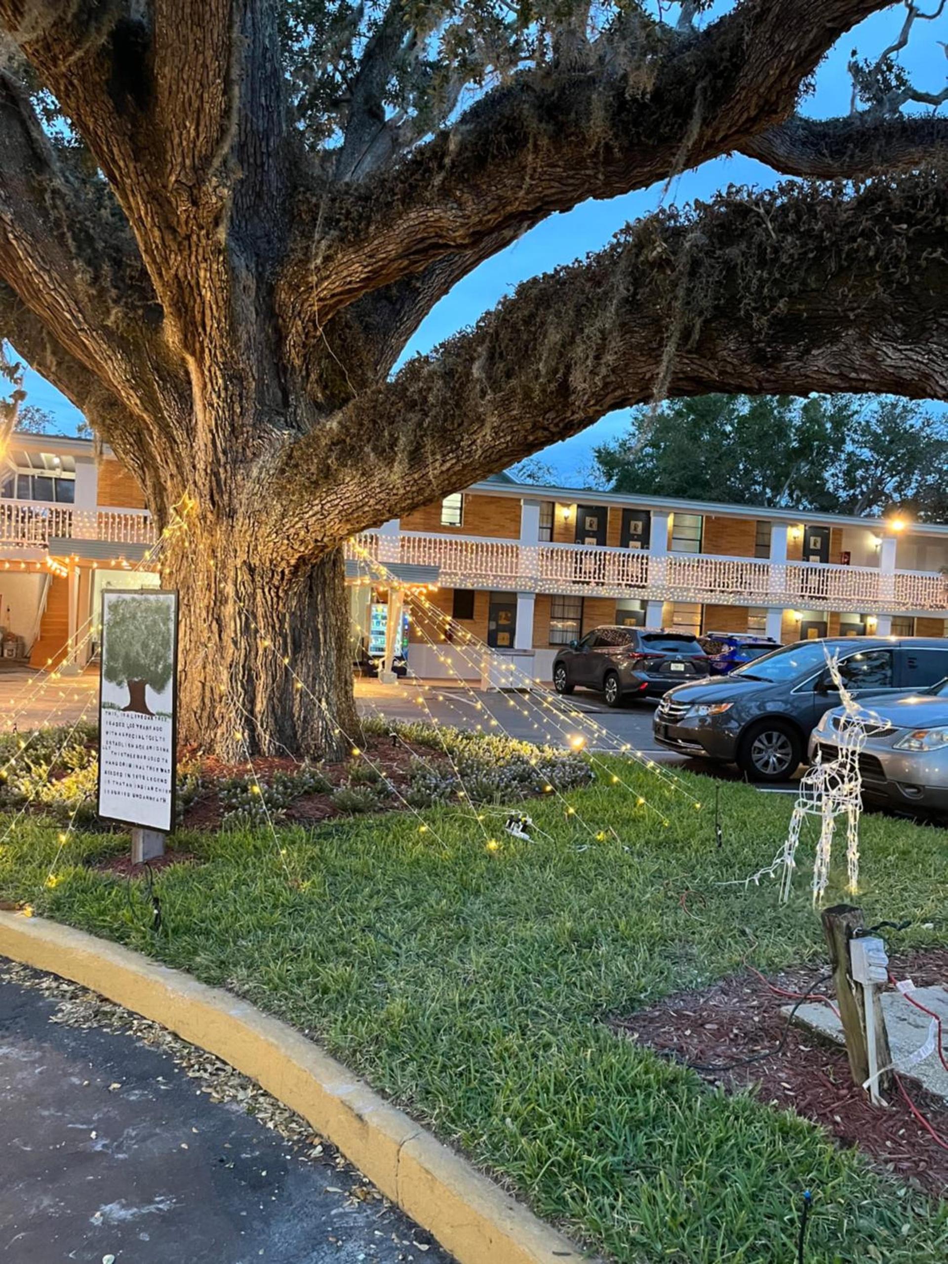 Castillo Inn photo 6