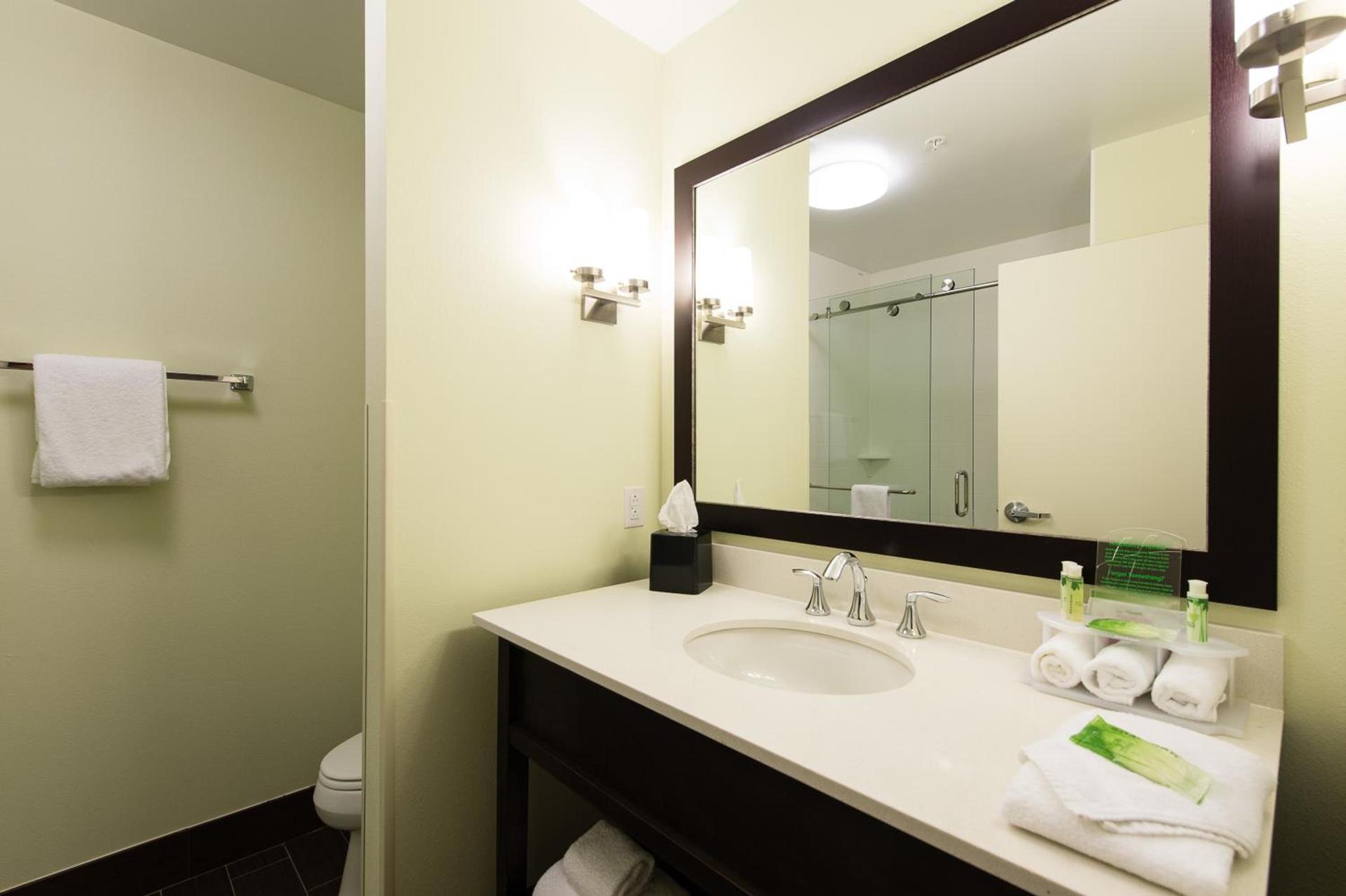 Holiday Inn Express & Suites Aiken by IHG photo 4
