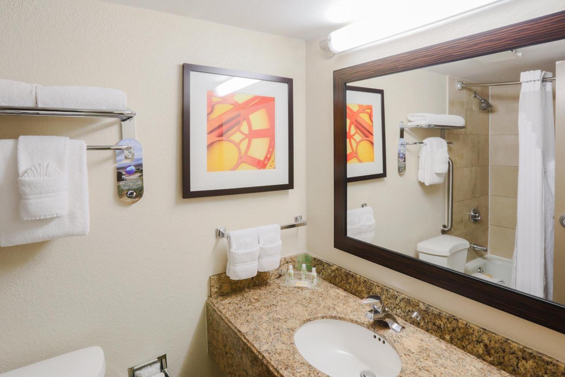 Holiday Inn Austin Midtown by IHG photo 44