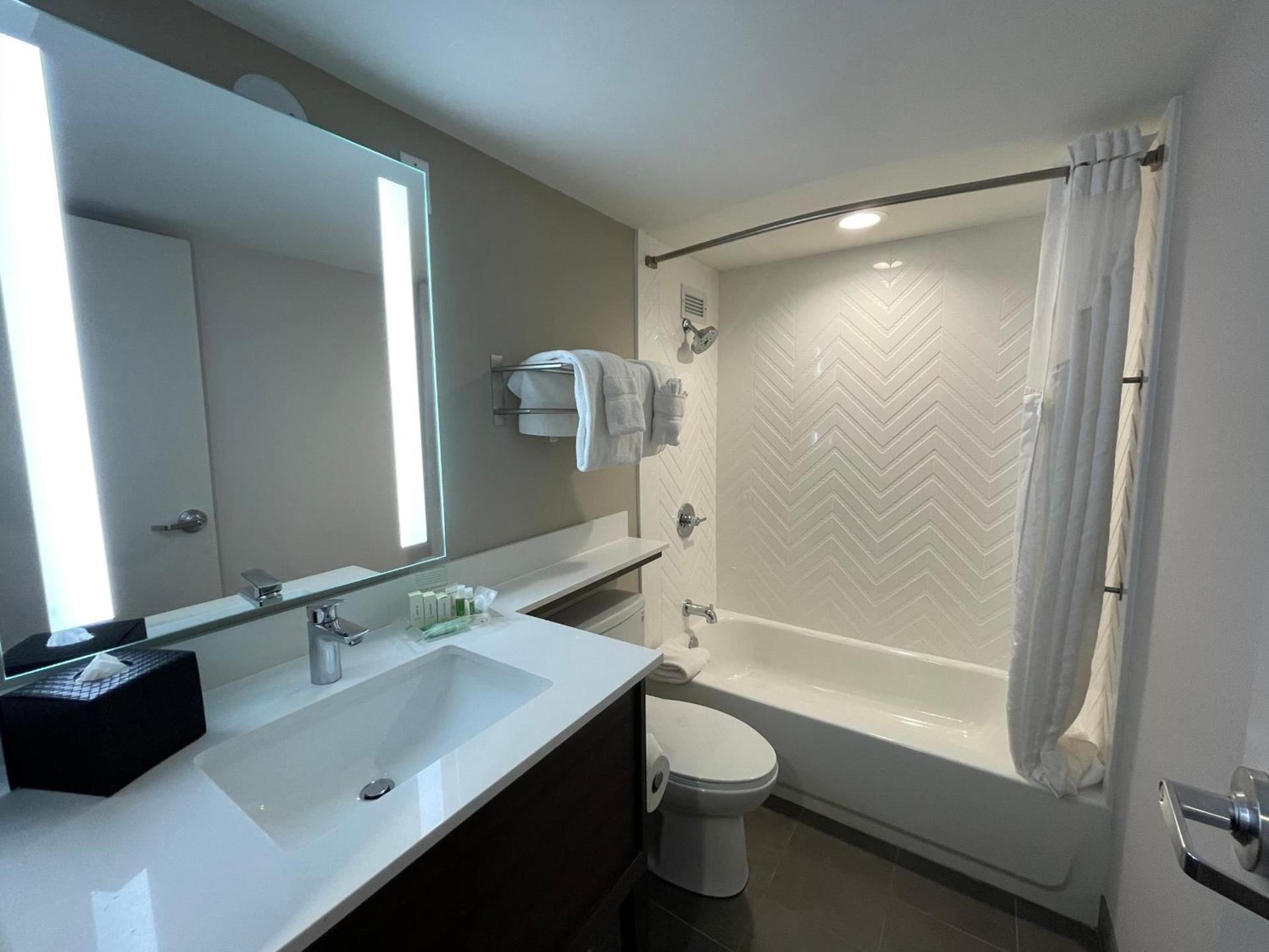 Holiday Inn & Suites Chicago-Downtown by IHG photo 65