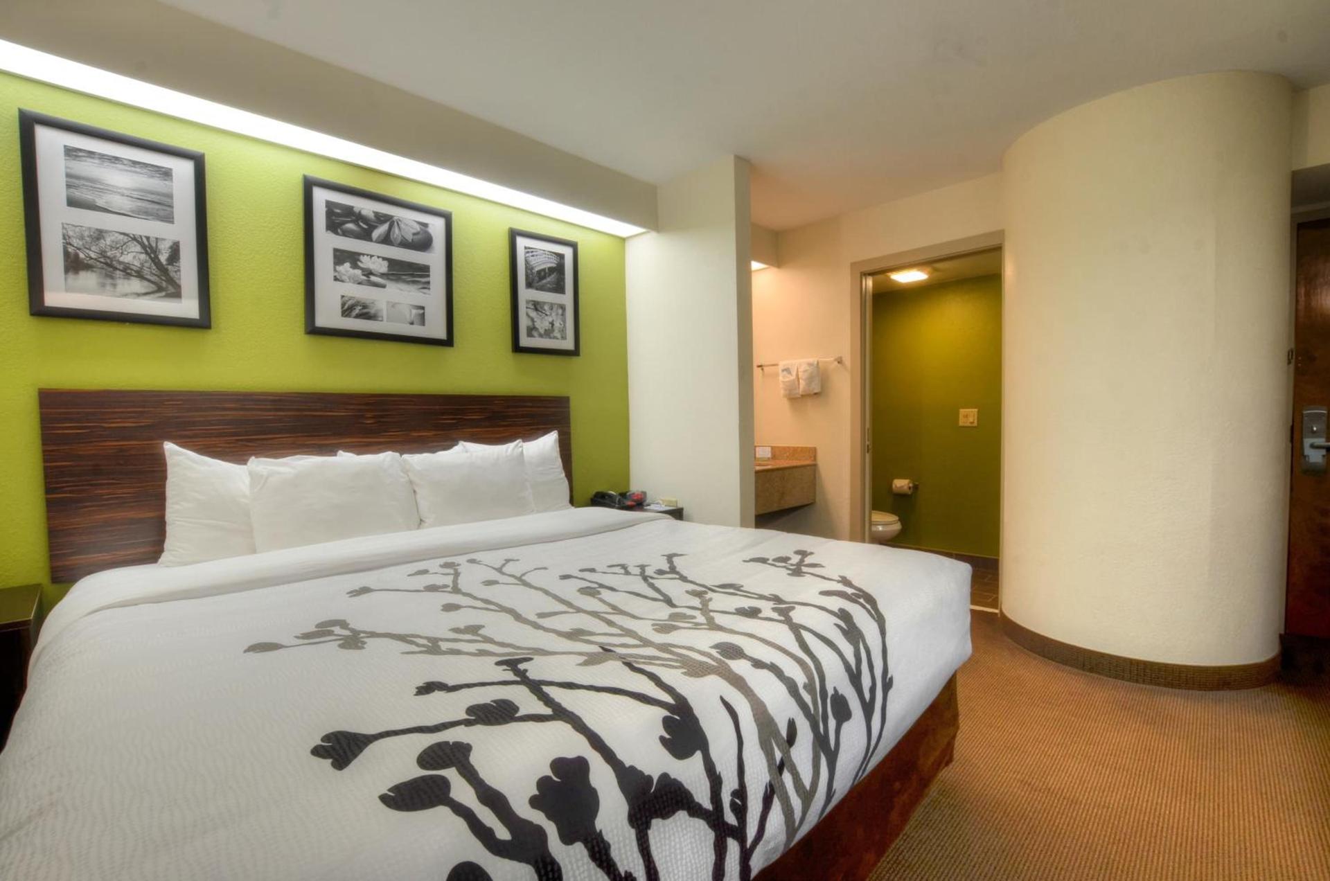Sleep Inn Bryson City - Cherokee Area photo 60