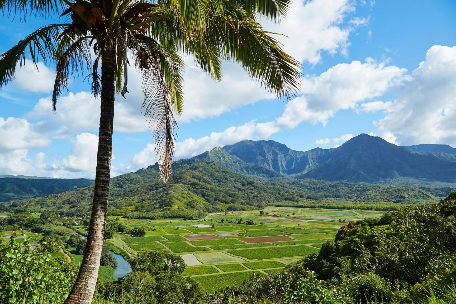 The Cliffs at Princeville photo 21