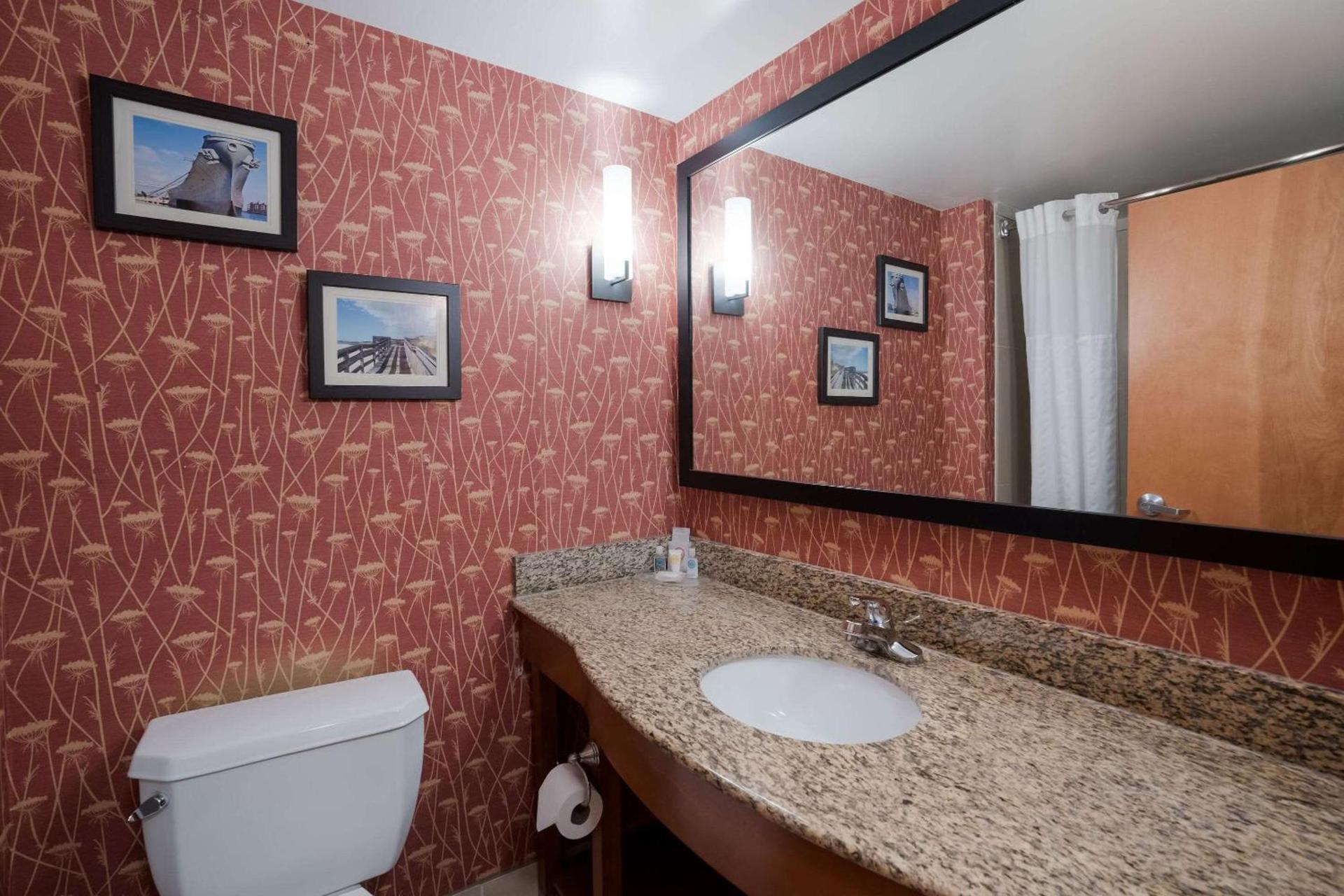 Comfort Suites Suffolk - Chesapeake photo 6