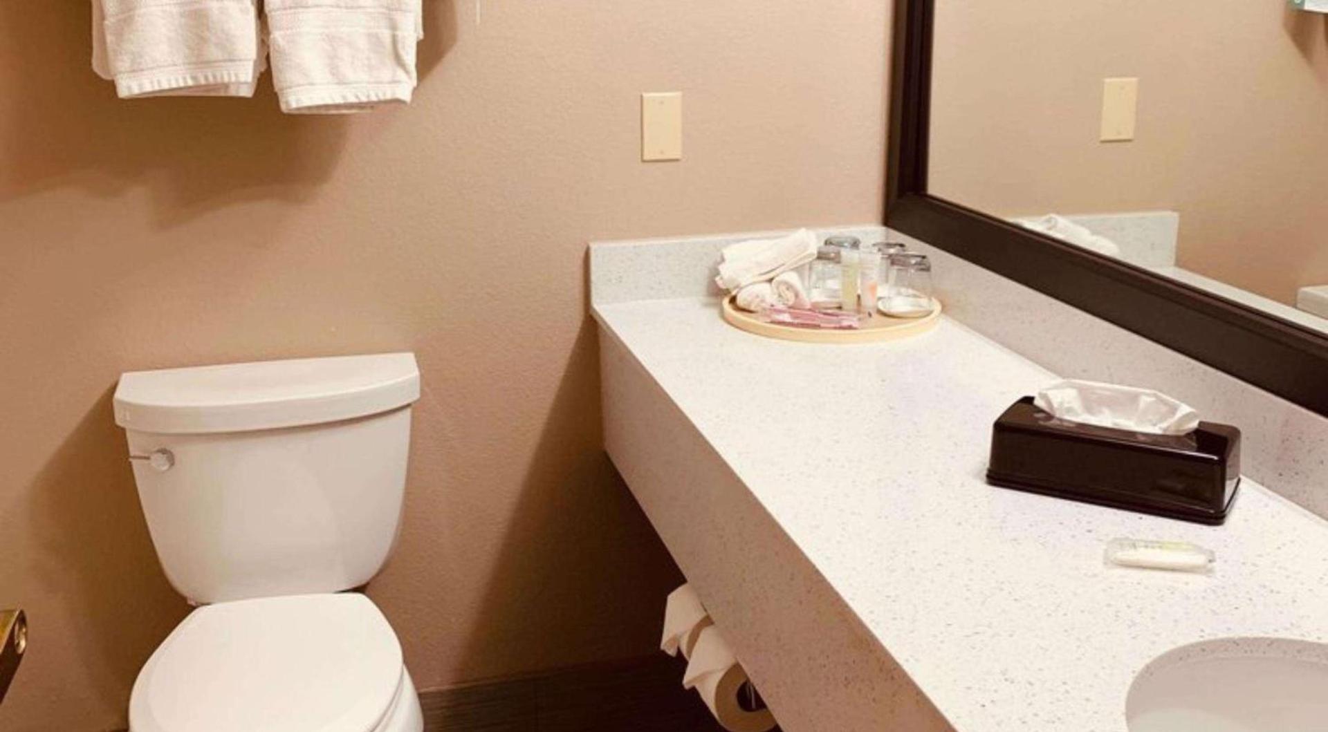 Comfort Suites Plano East - Richardson photo 28