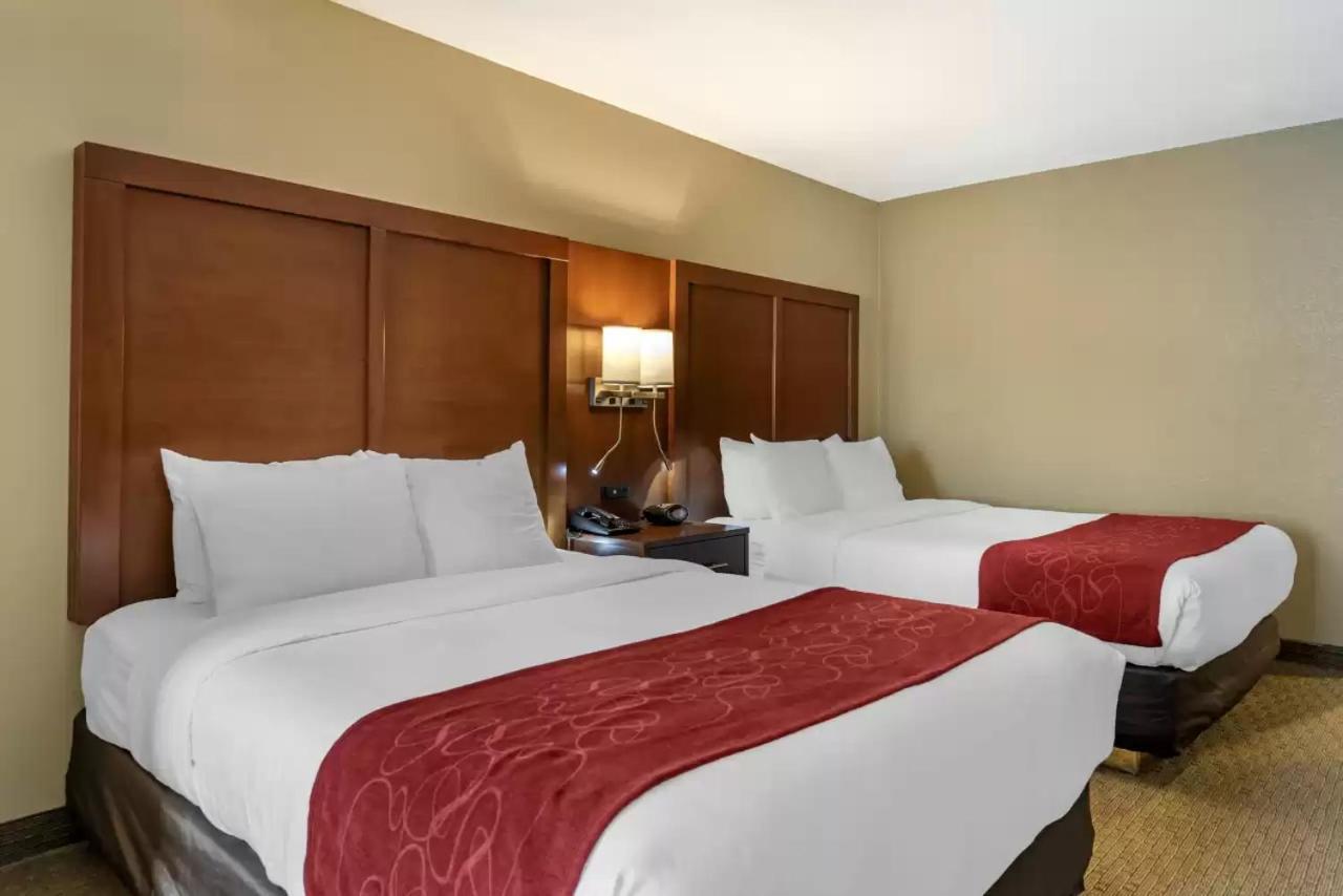 Comfort Suites Mason near Kings Island photo 16