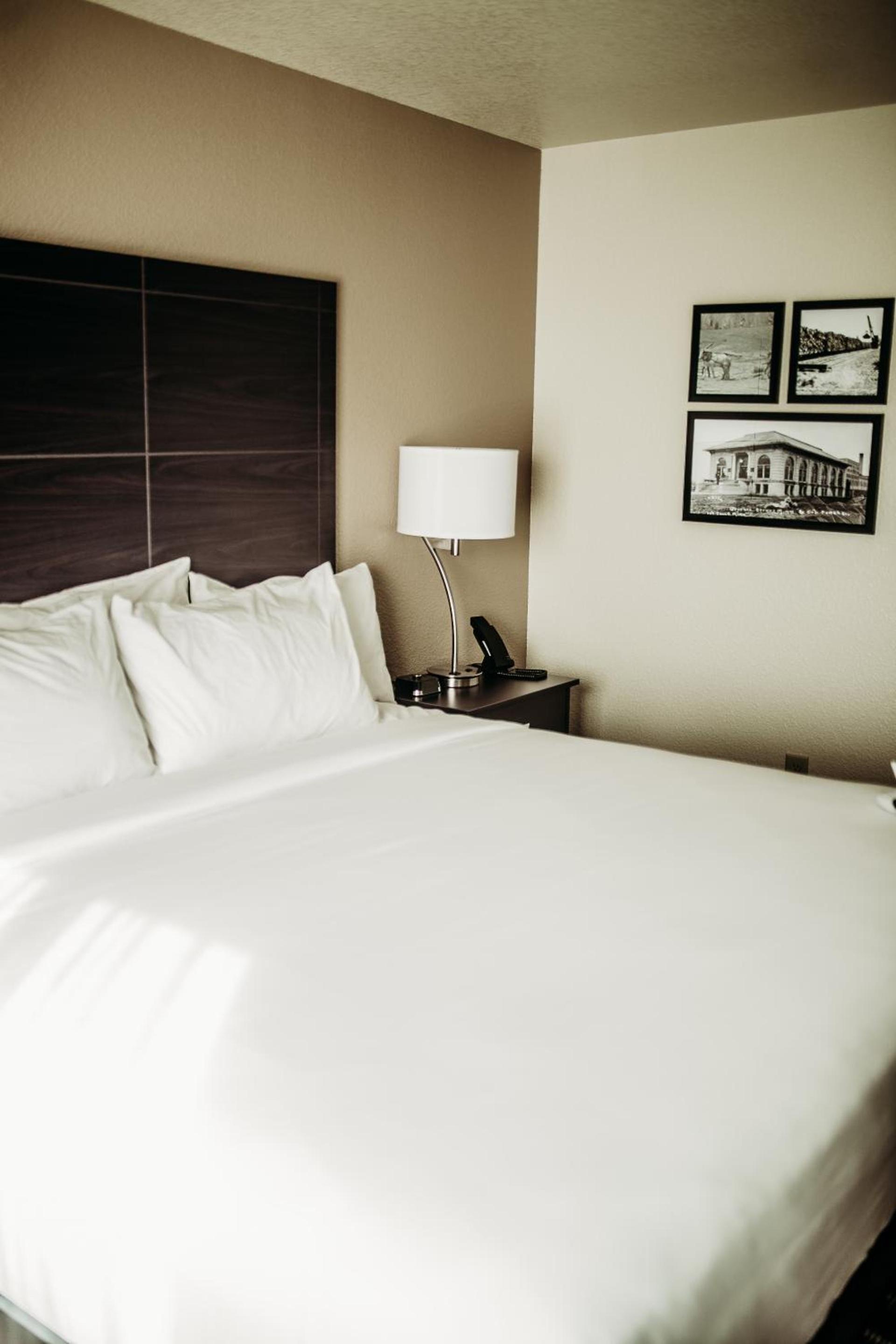 Cobblestone Hotel & Suites International Falls photo 3