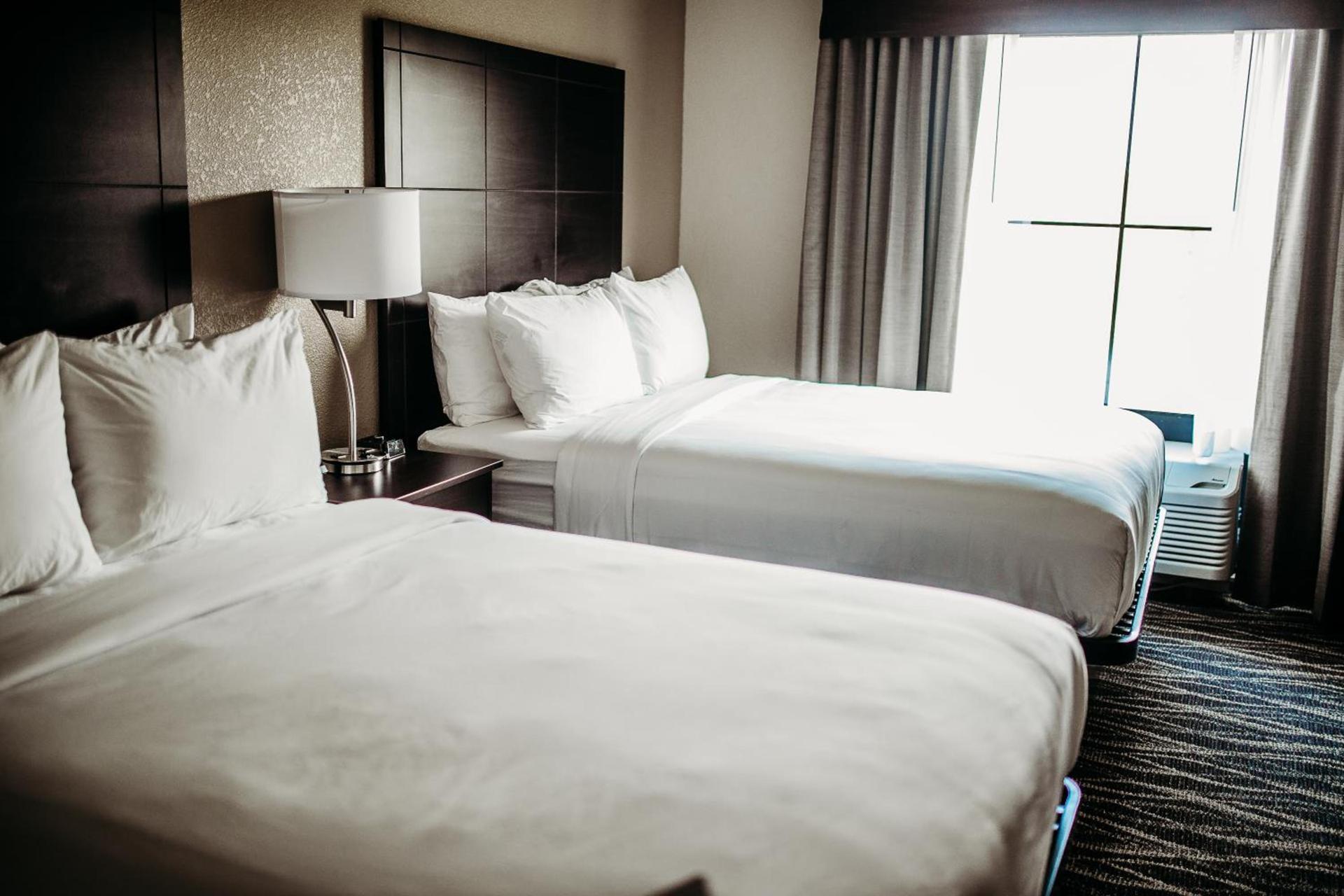 Cobblestone Hotel & Suites International Falls photo 7