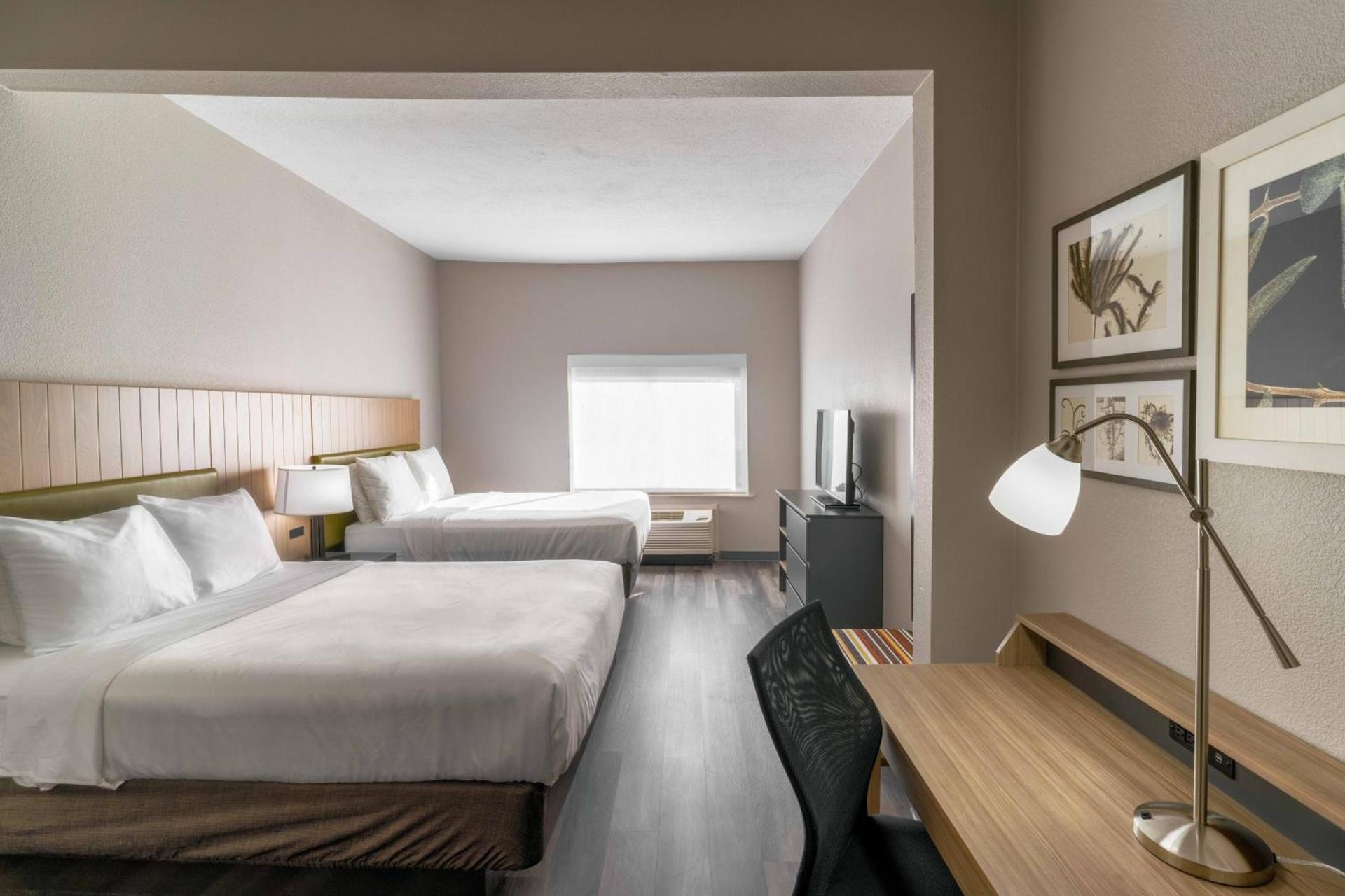 Townhome Inn & Suites by IHG photo 2