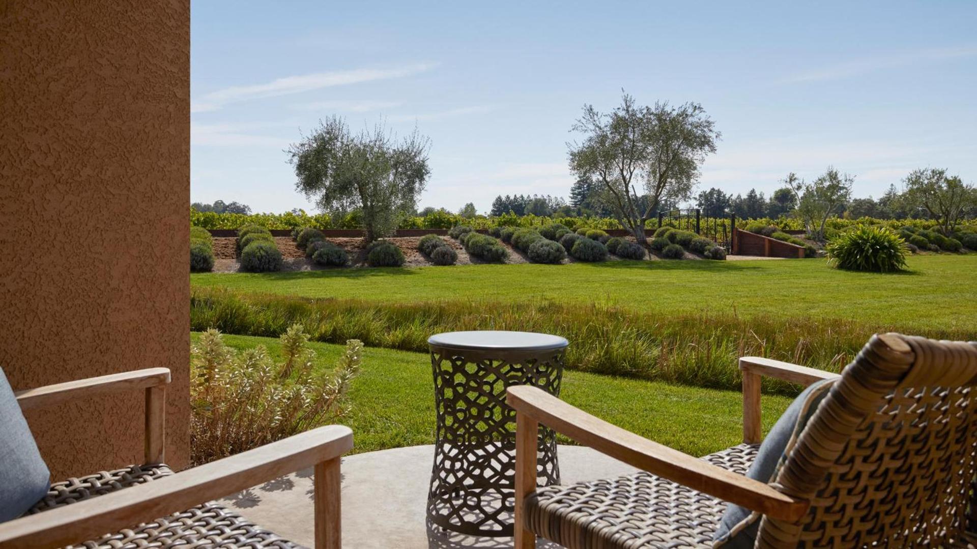 Vinarosa Resort & Spa photo 14
