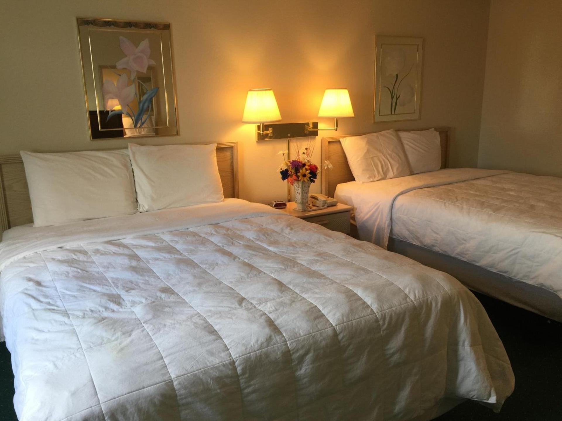 Americas Best Value Inn & Suites - Bluffton photo 12