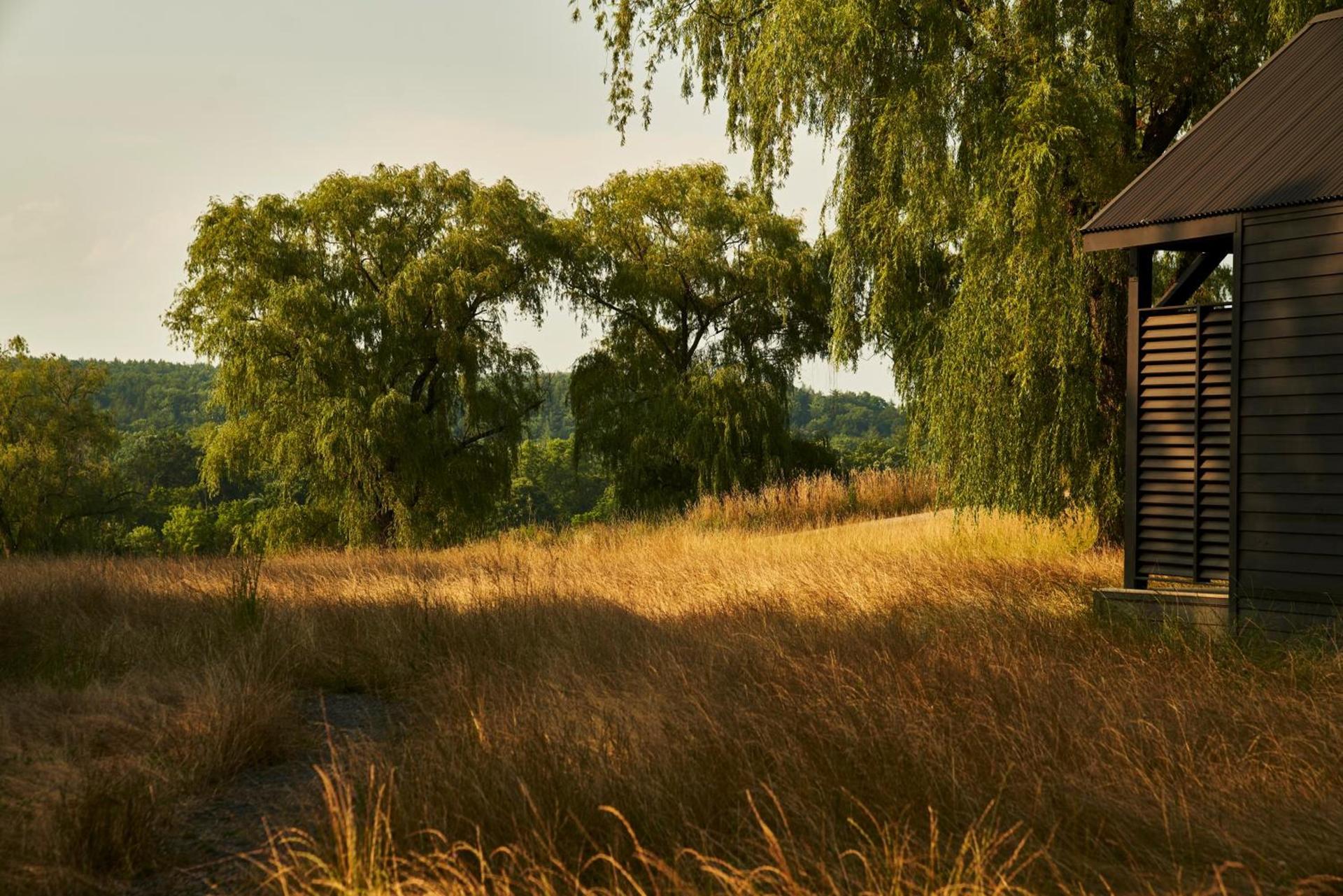 Inness photo 15