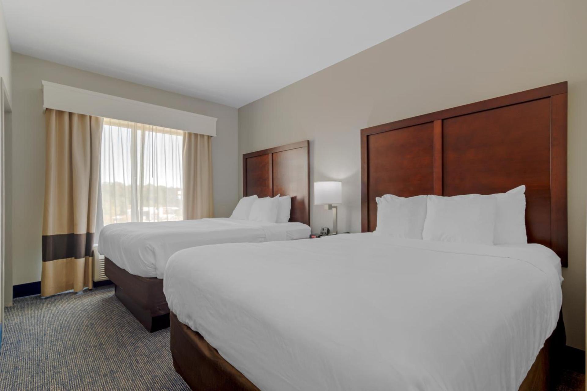 Comfort Suites Stockbridge Atlanta South photo 73