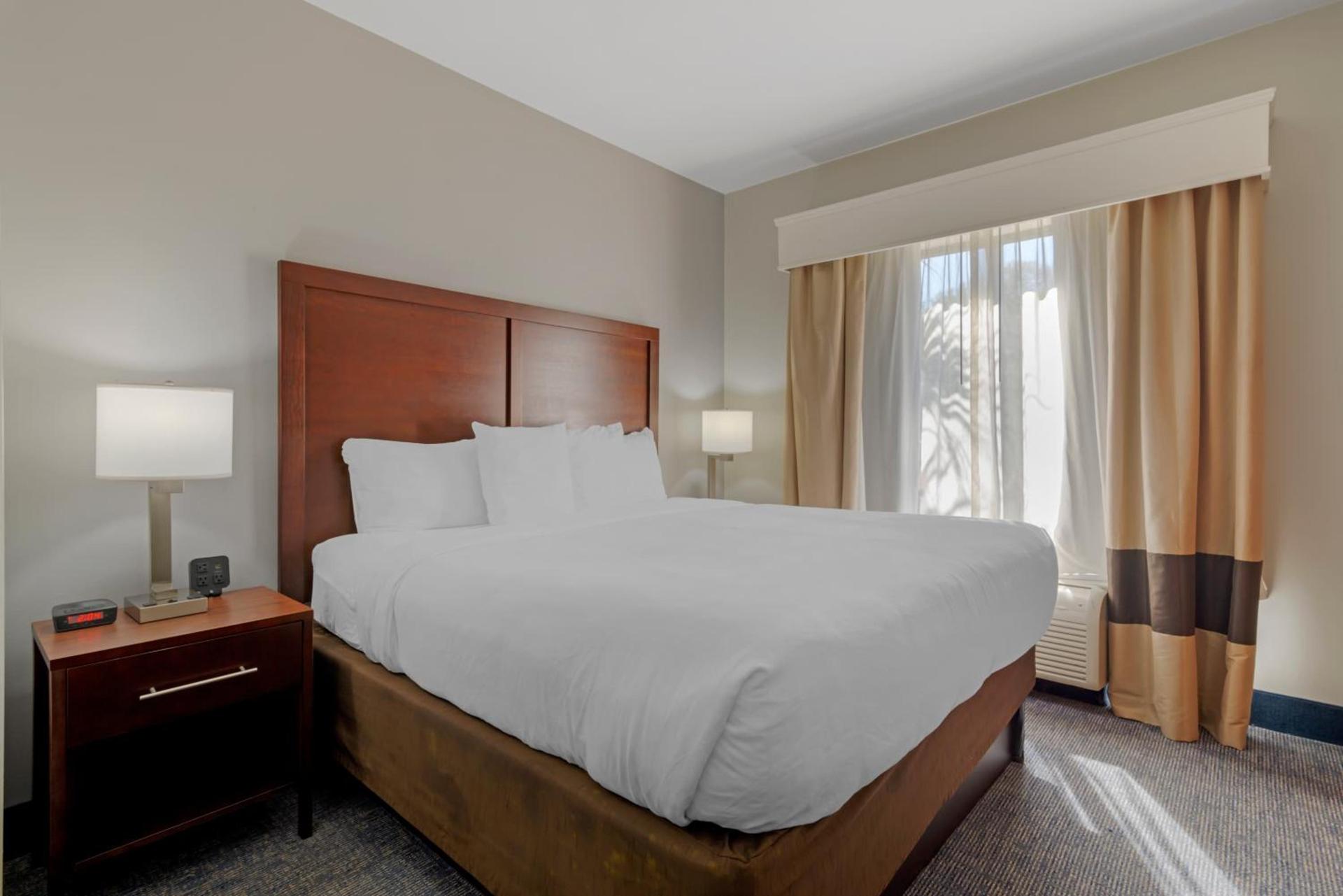 Comfort Suites Stockbridge Atlanta South photo 74