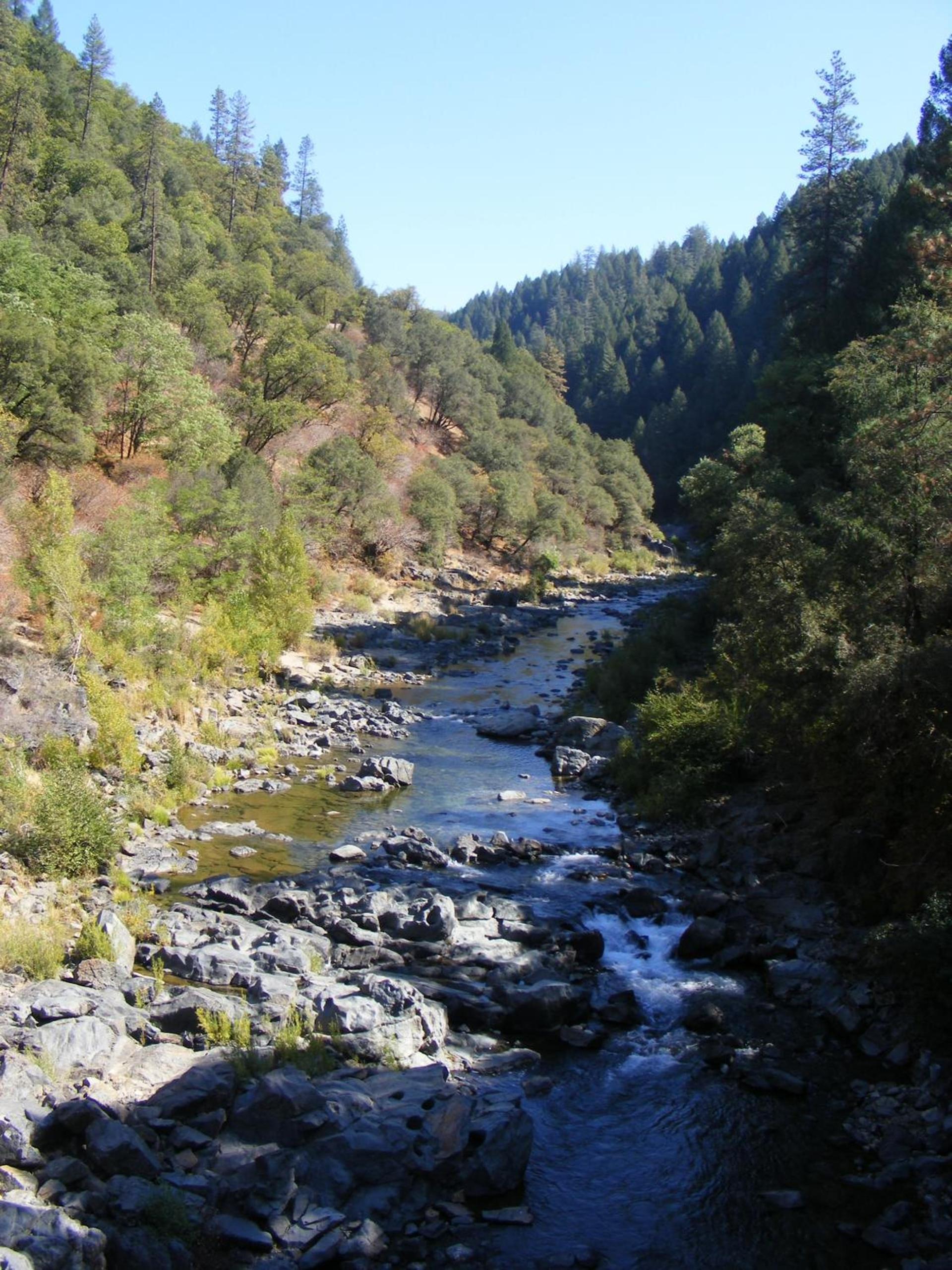 Gold Dust West photo 11