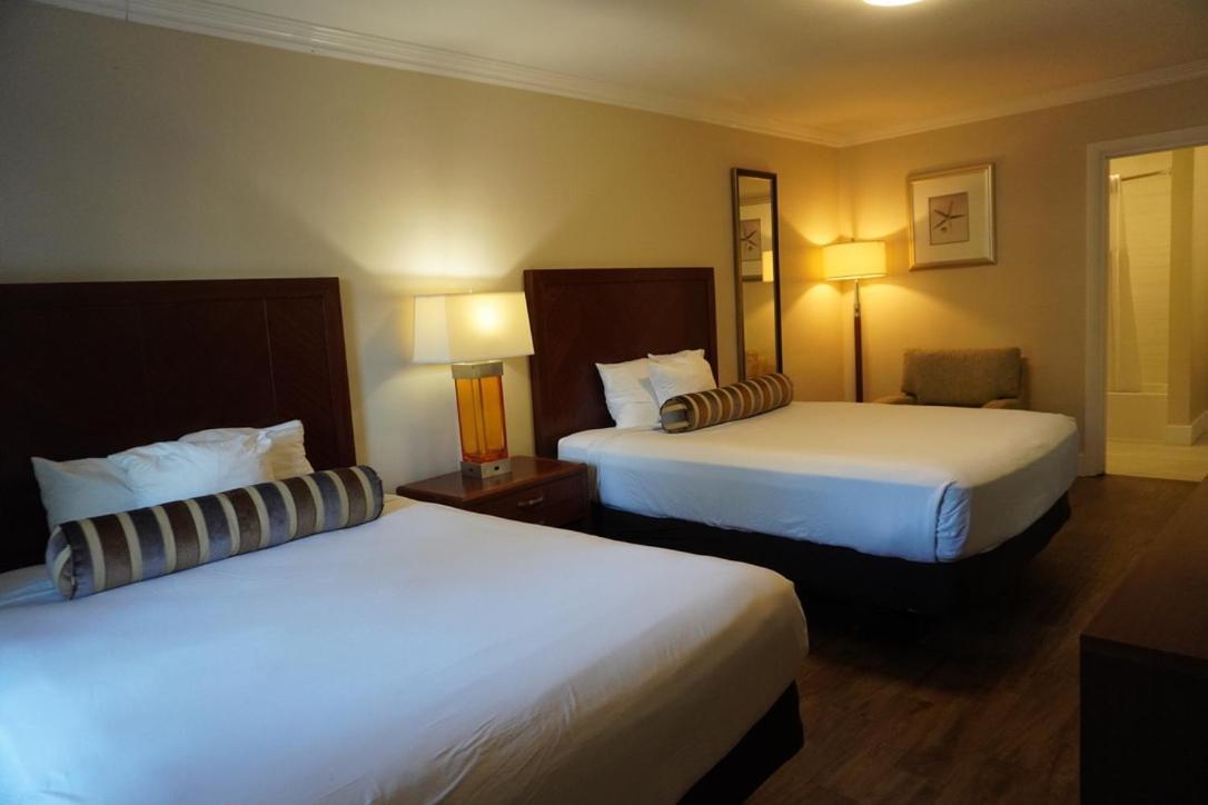 Rose Garden Inn photo 41