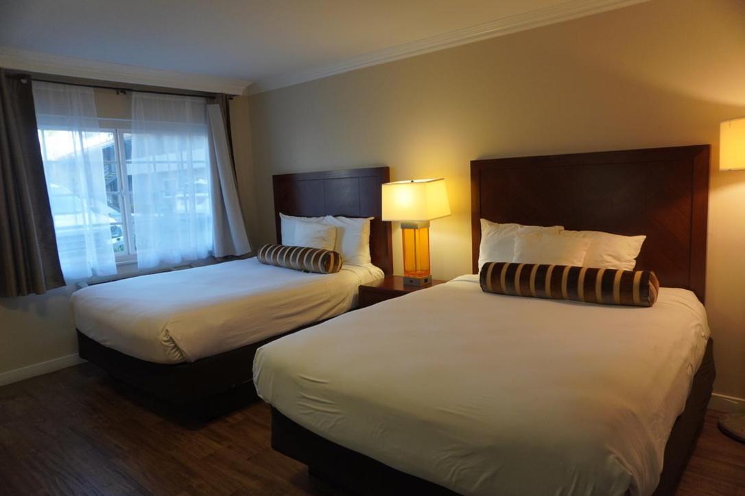 Rose Garden Inn photo 8