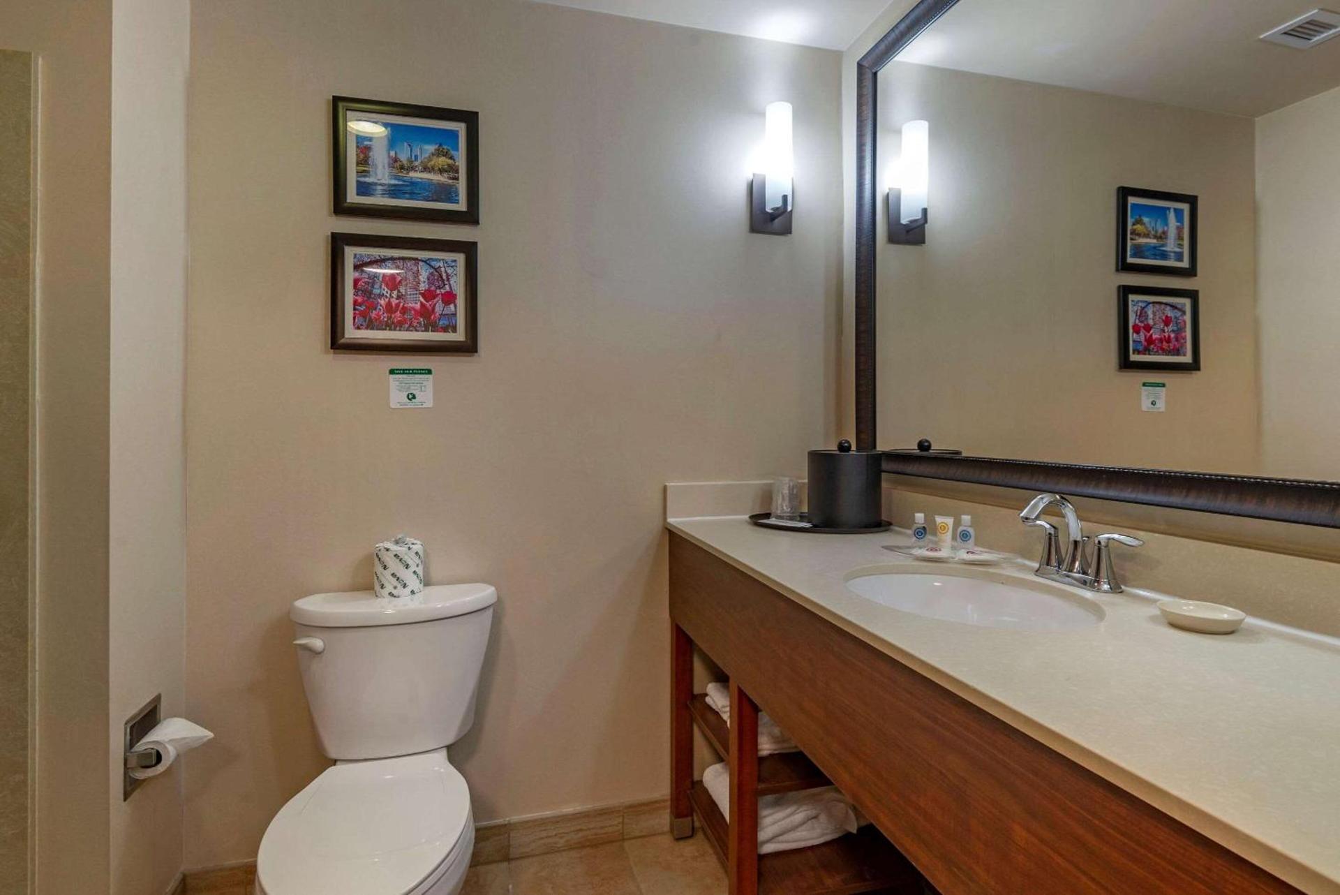 Comfort Suites Huntersville near Lake Norman photo 6