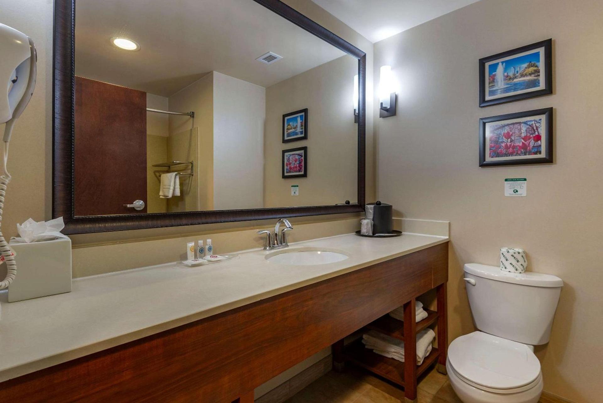 Comfort Suites Huntersville near Lake Norman photo 23