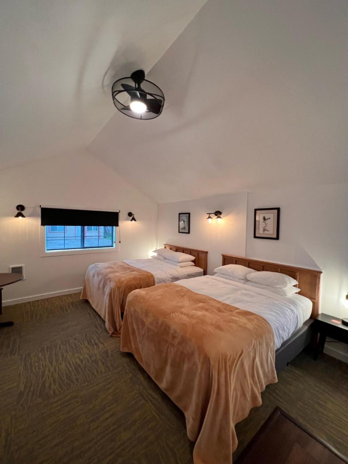 The Seaview Cottages photo 16