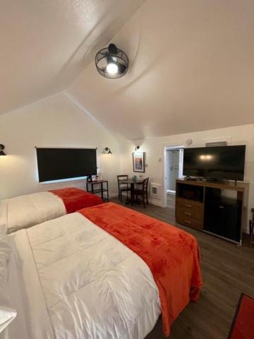 The Seaview Cottages photo 42