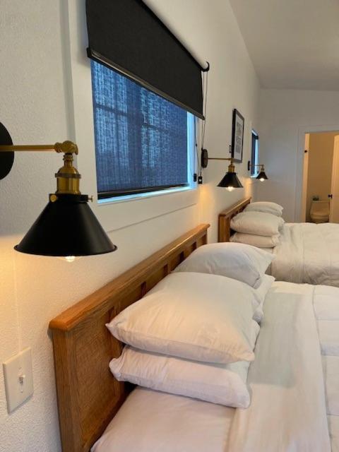 The Seaview Cottages photo 46
