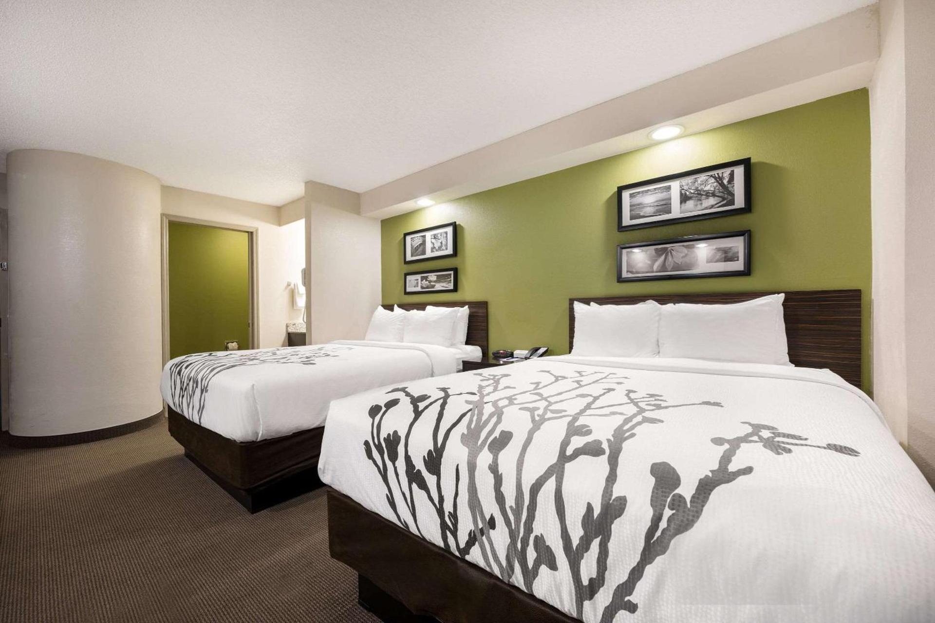 Sleep Inn Athens I-65 photo 18