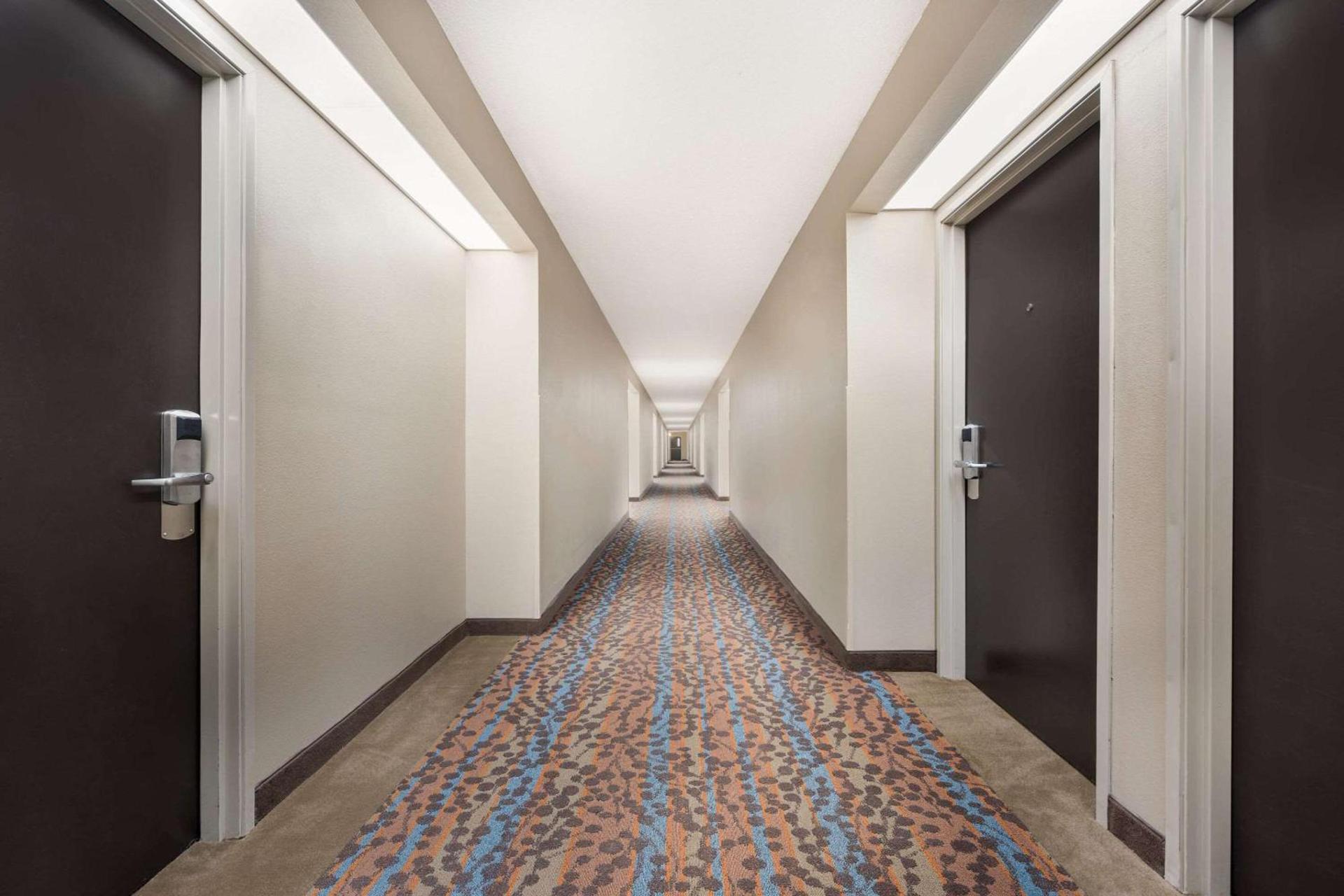 Sleep Inn Athens I-65 photo 35