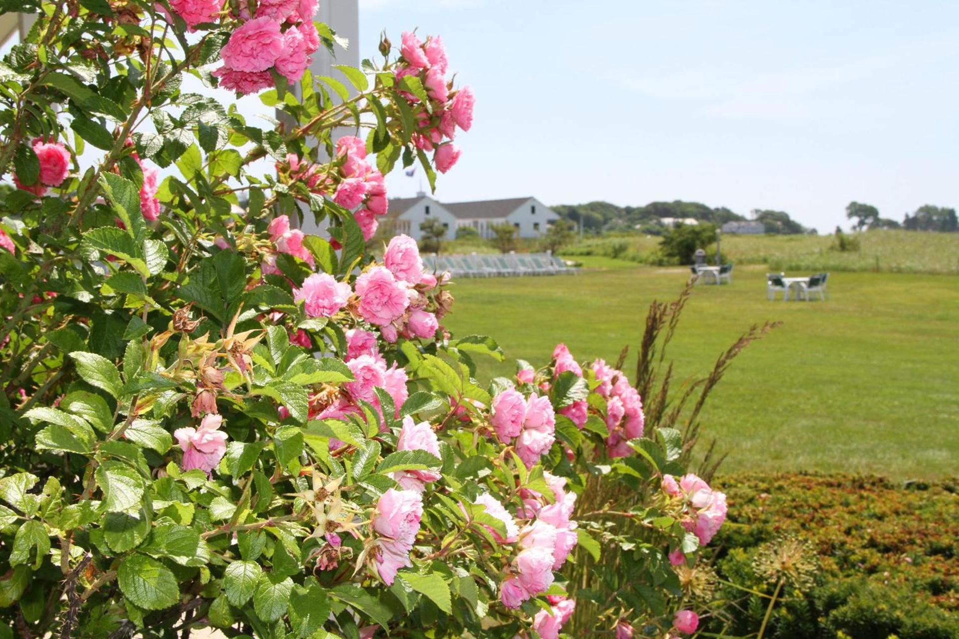 The Seaside Inn photo 38