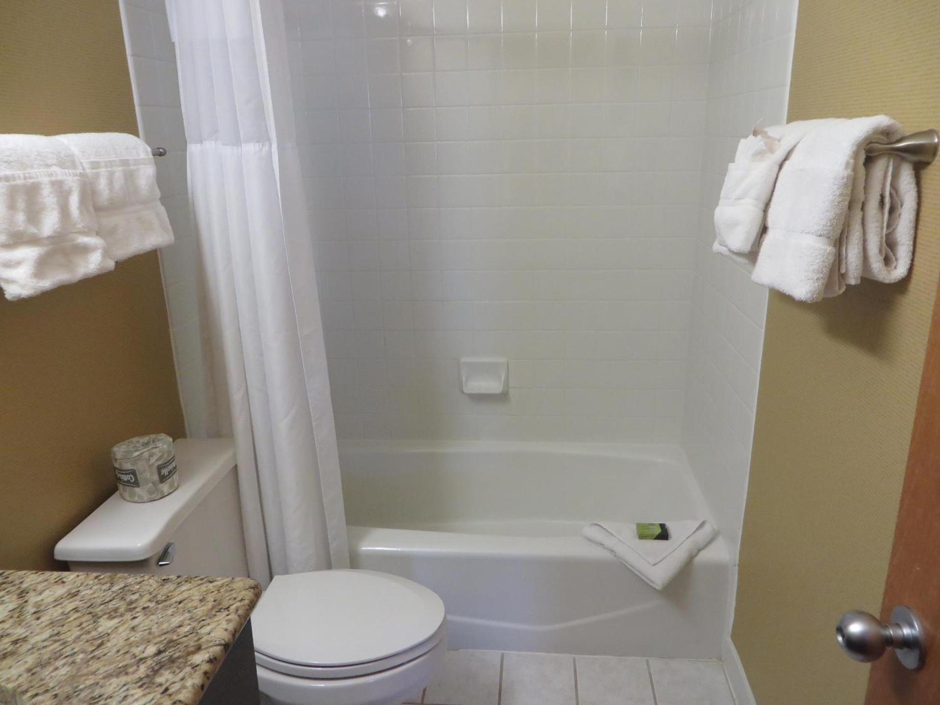Ivy Court Inn and Suites photo 18