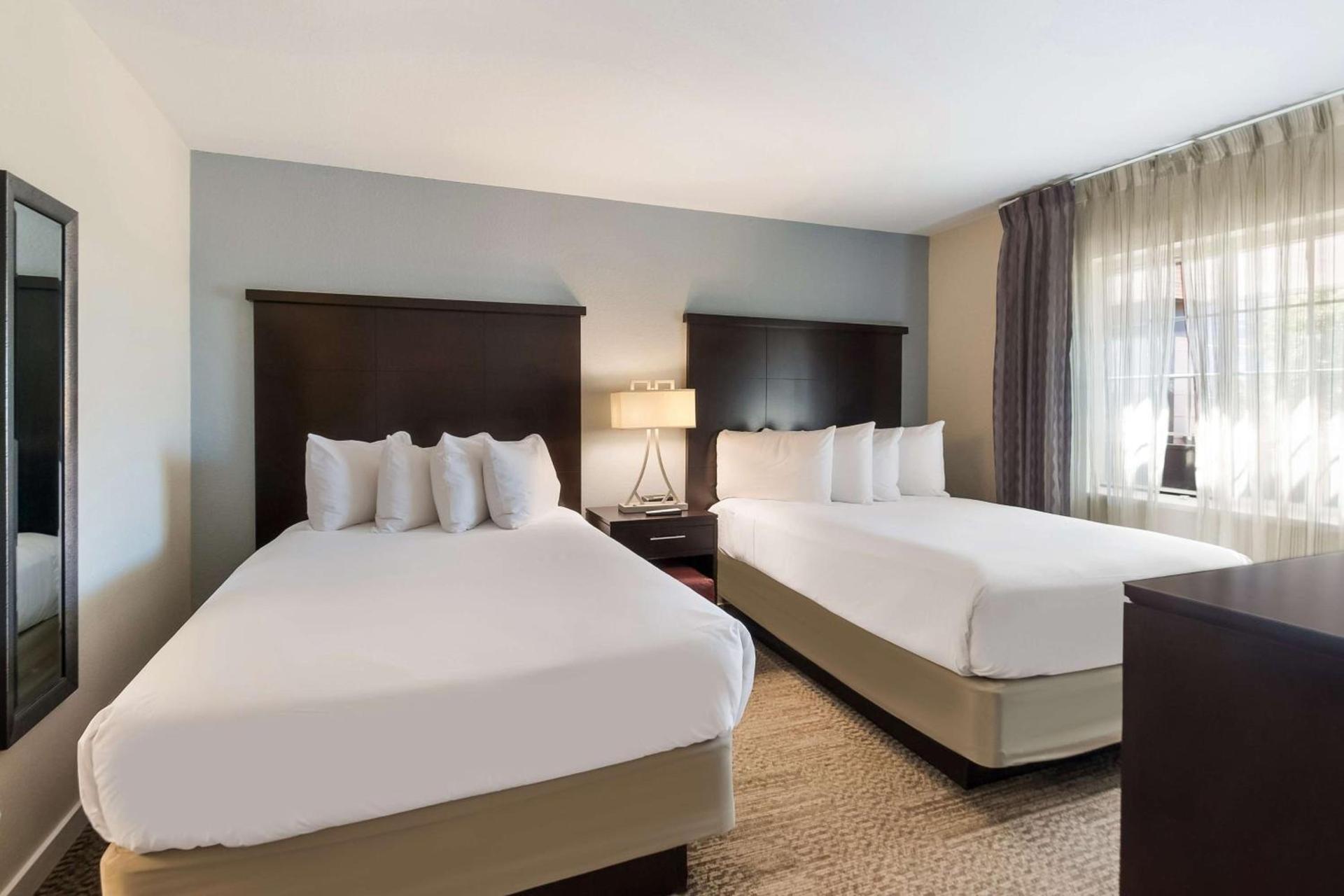 Sonesta ES Suites Dulles Airport photo 11