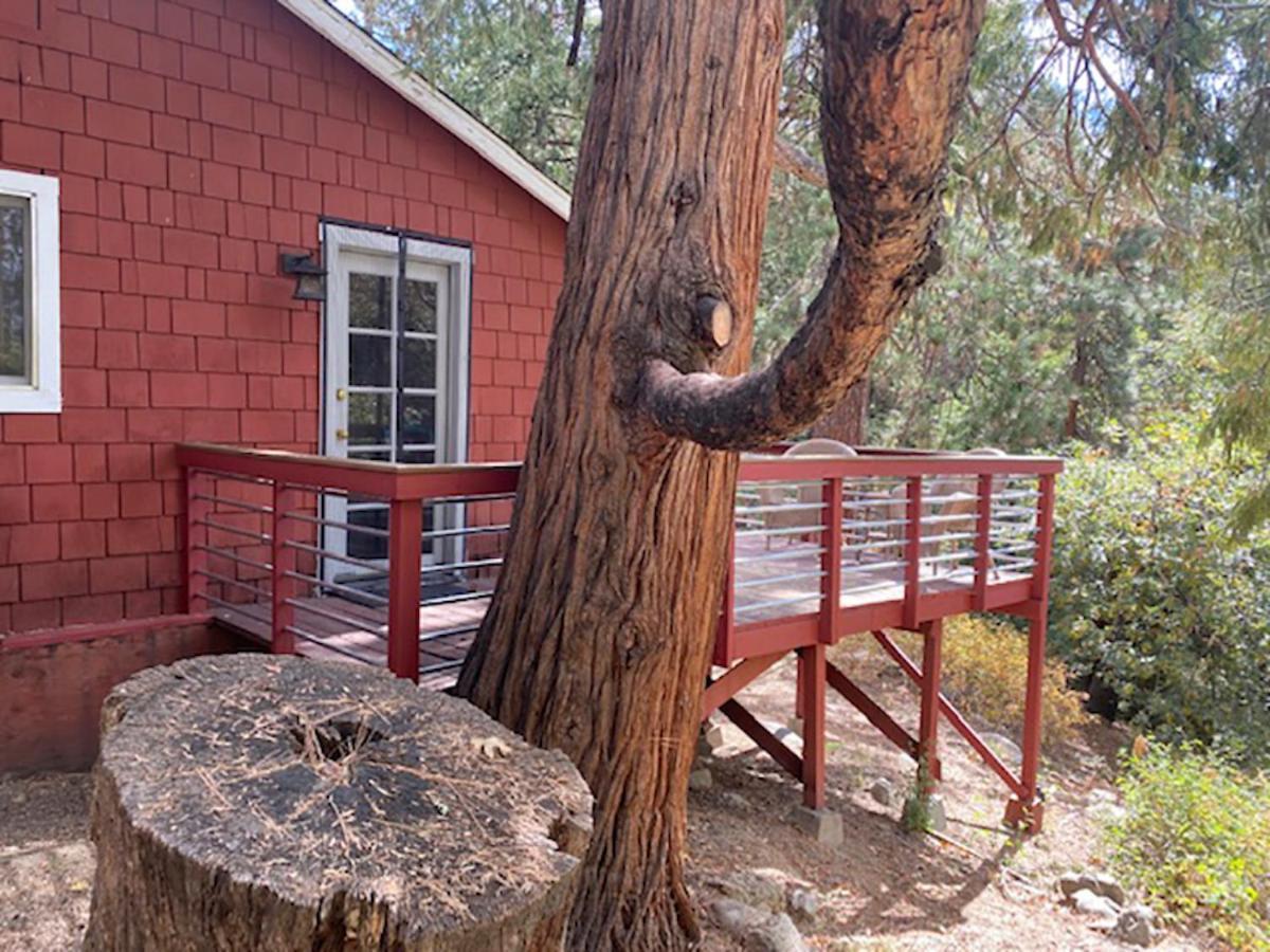 Silver Pines Lodge photo 79