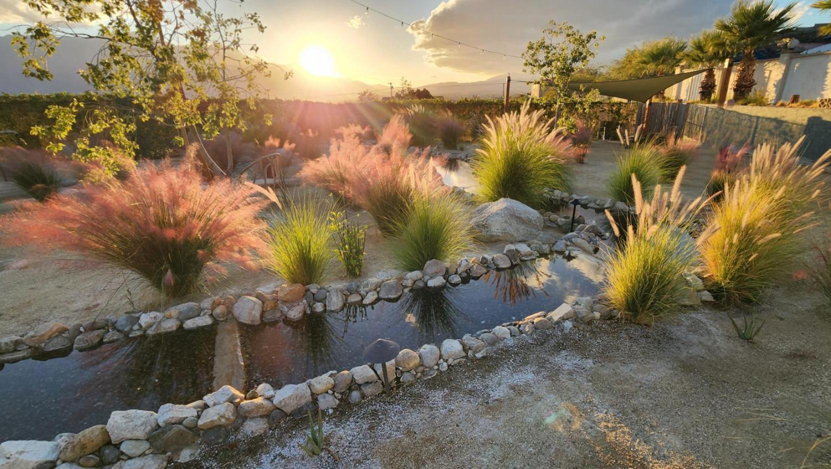 Azure Palm Hot Springs photo 26