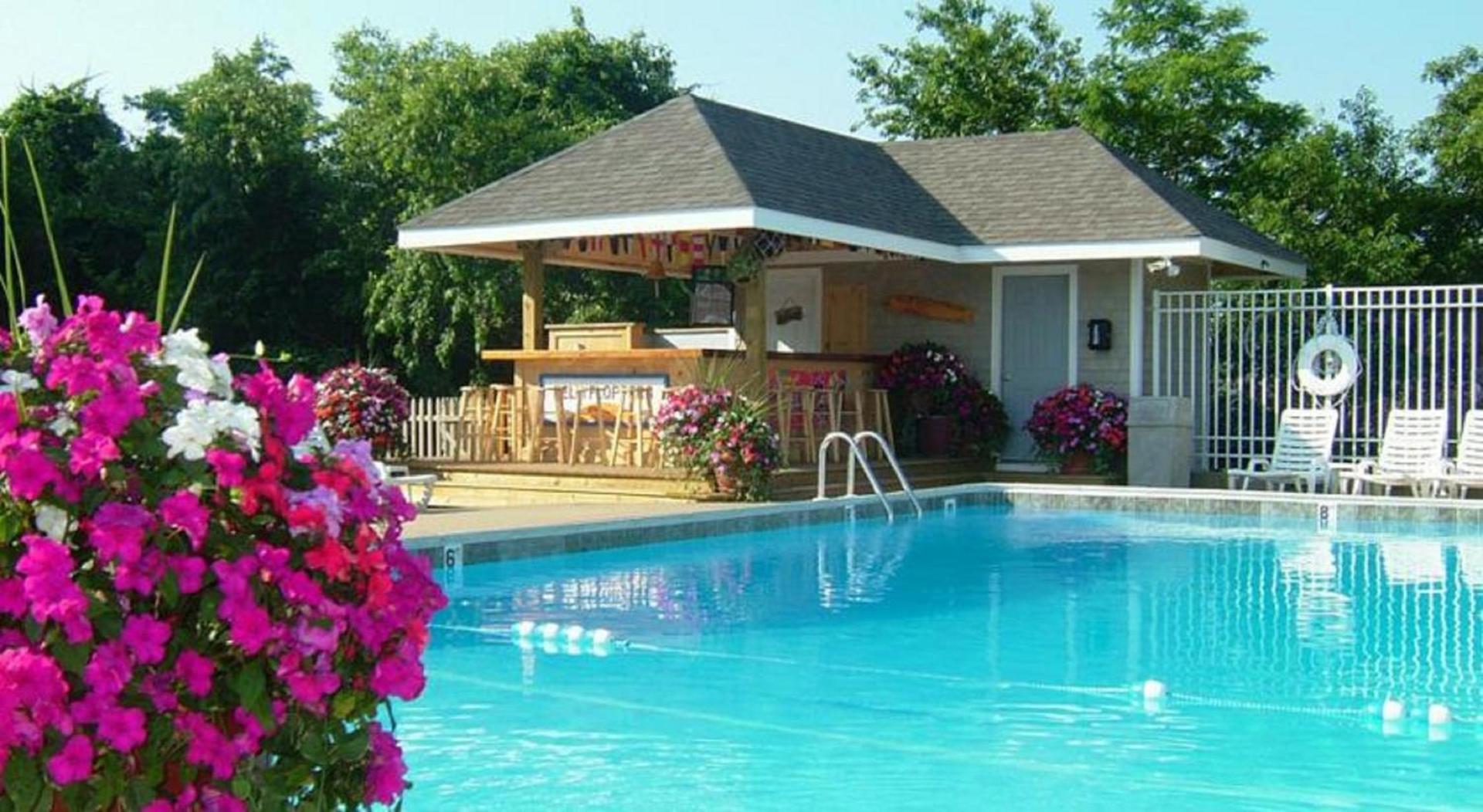 Bayside Resort Hotel photo 40
