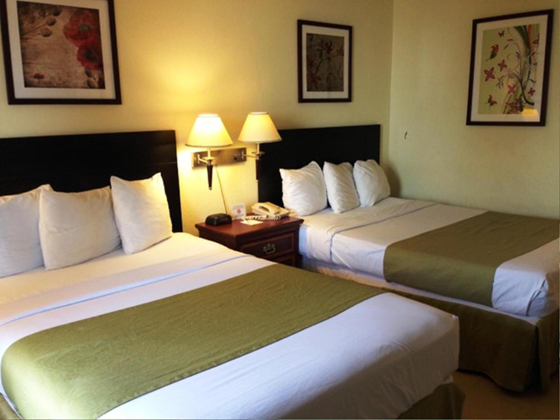 SureStay by Best Western Irving Grapevine DFW North photo 3