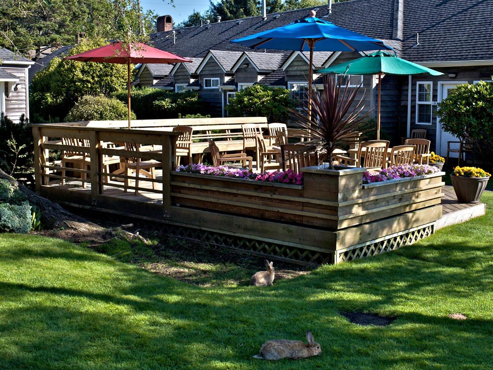 Ecola Creek Lodge photo 65