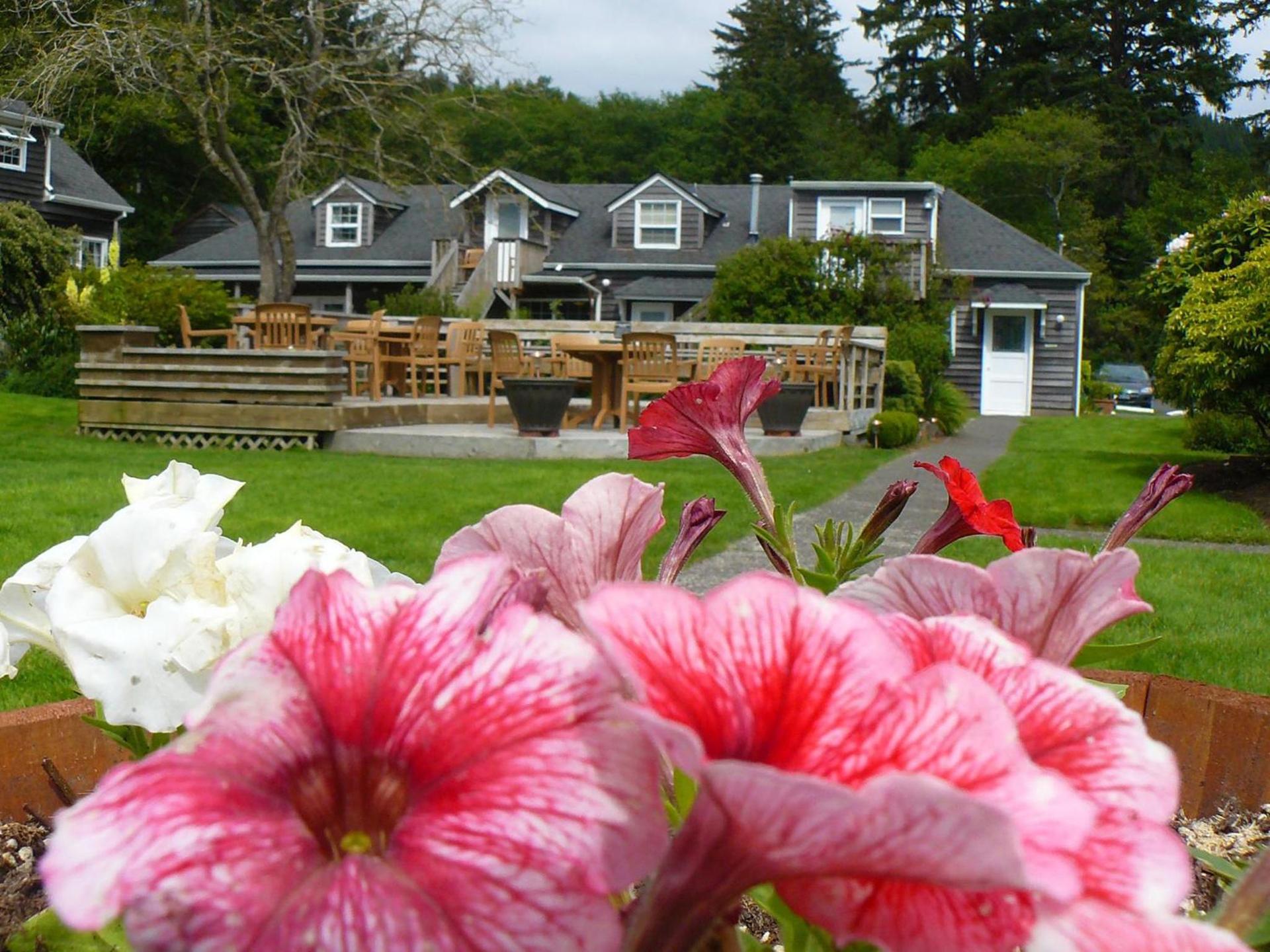 Ecola Creek Lodge photo 84
