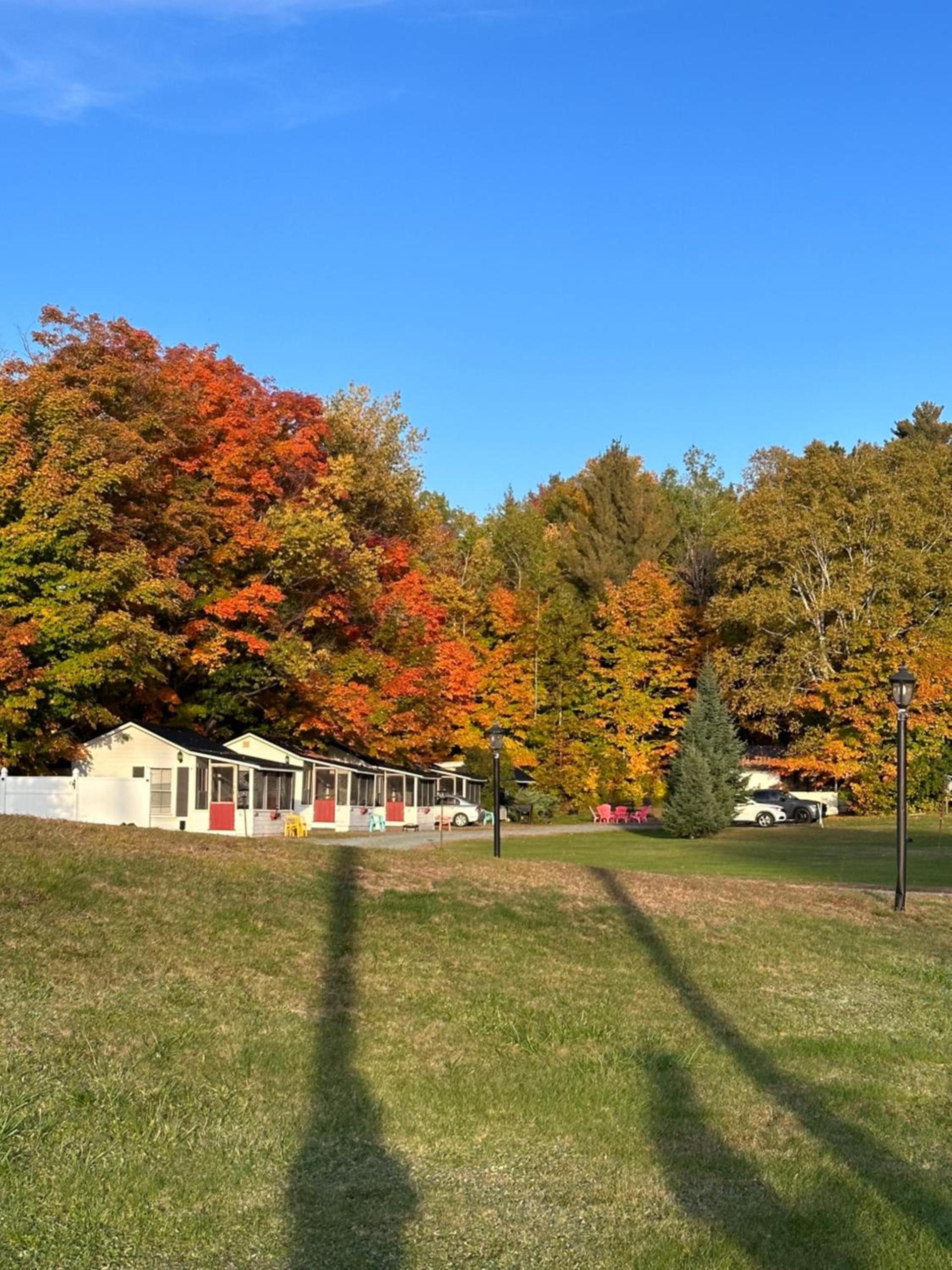 carrollmotel and cottages photo 2