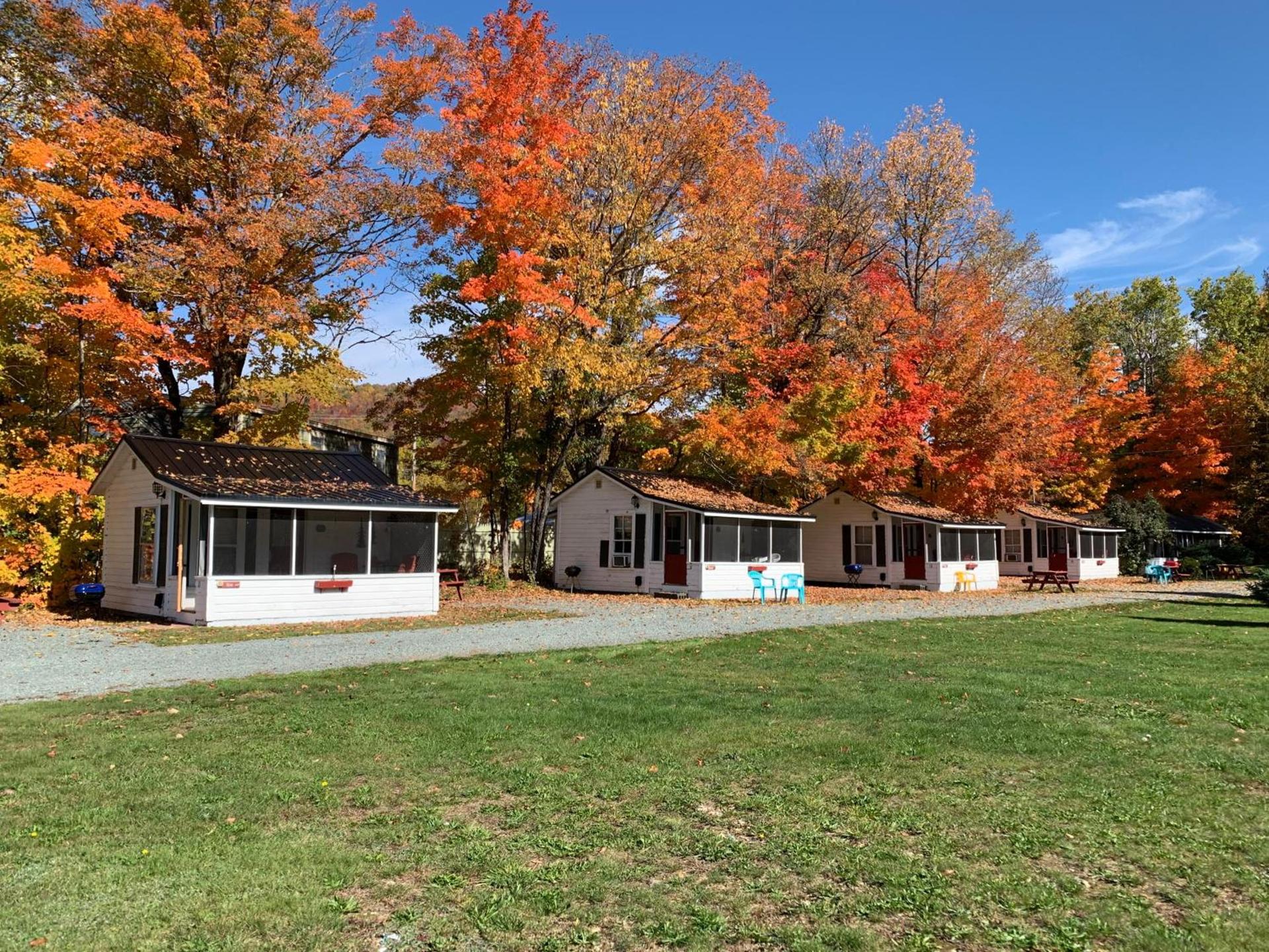carrollmotel and cottages photo 4