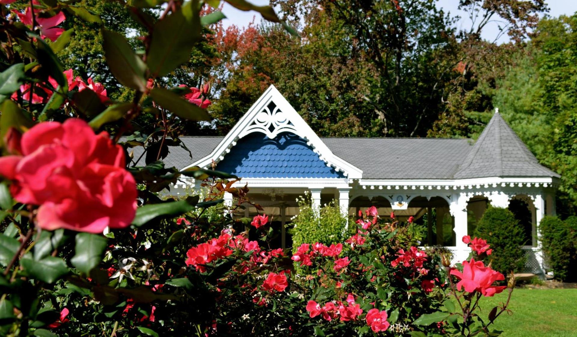 Victoria Inn photo 83