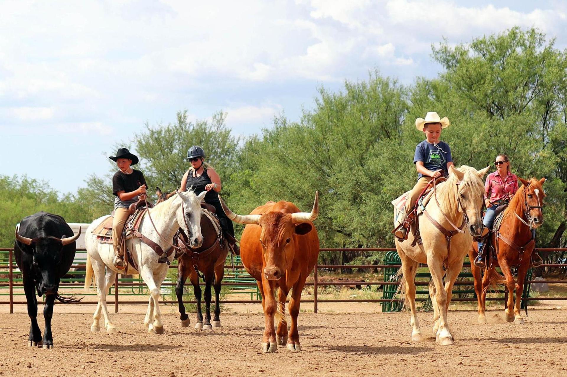 Tombstone Monument Guest Ranch photo 17