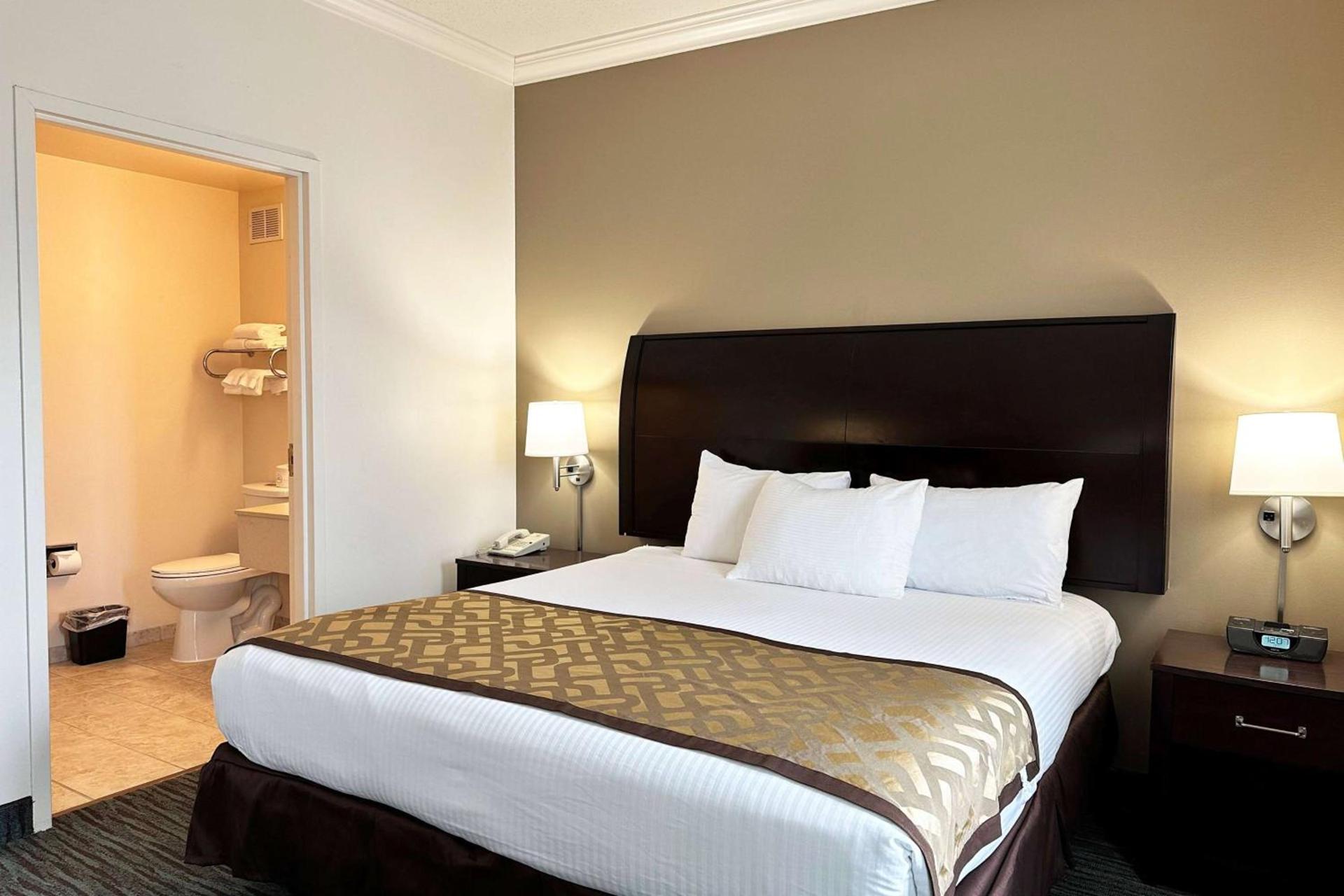 Chicago South Loop Hotel photo 12