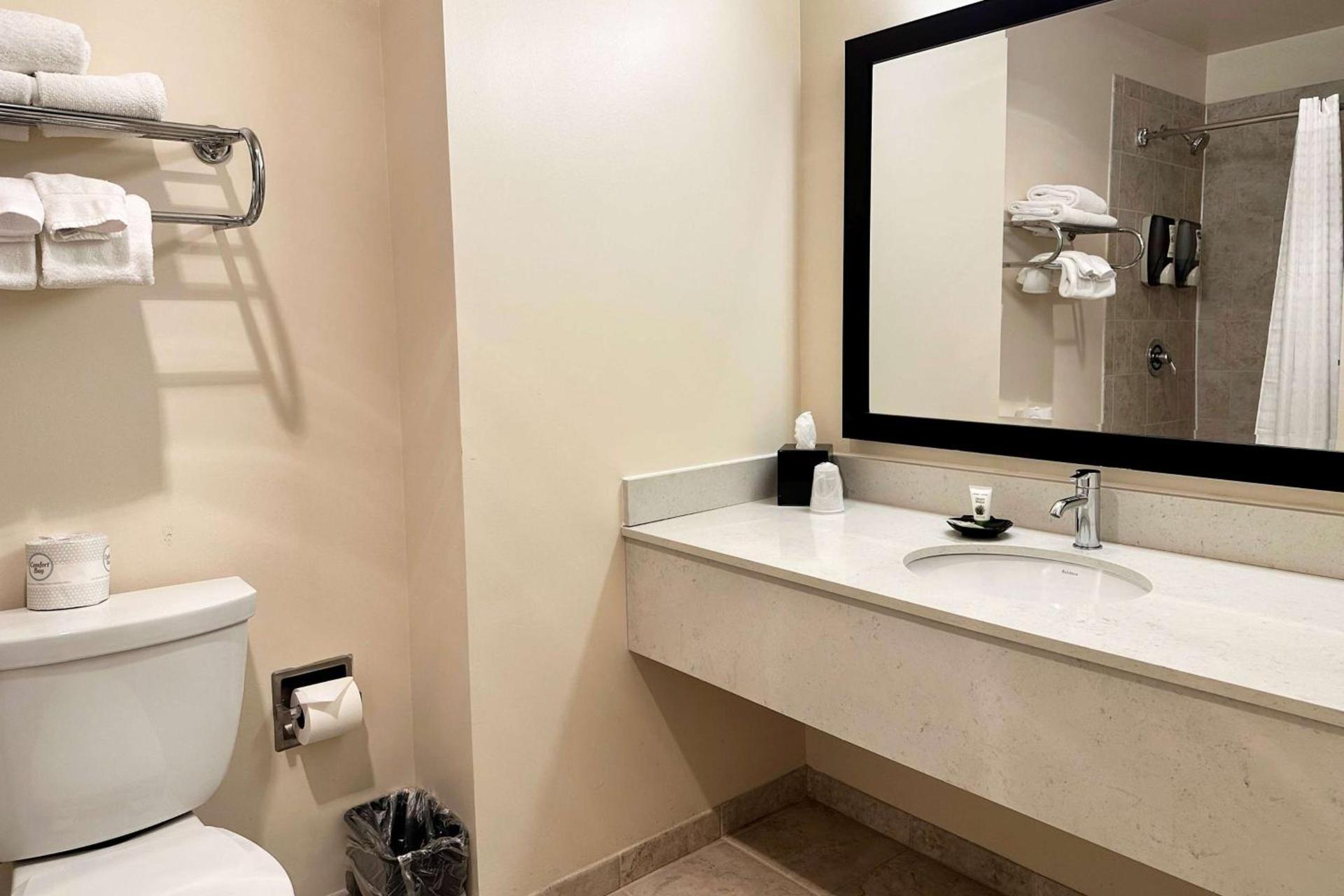 Chicago South Loop Hotel photo 26