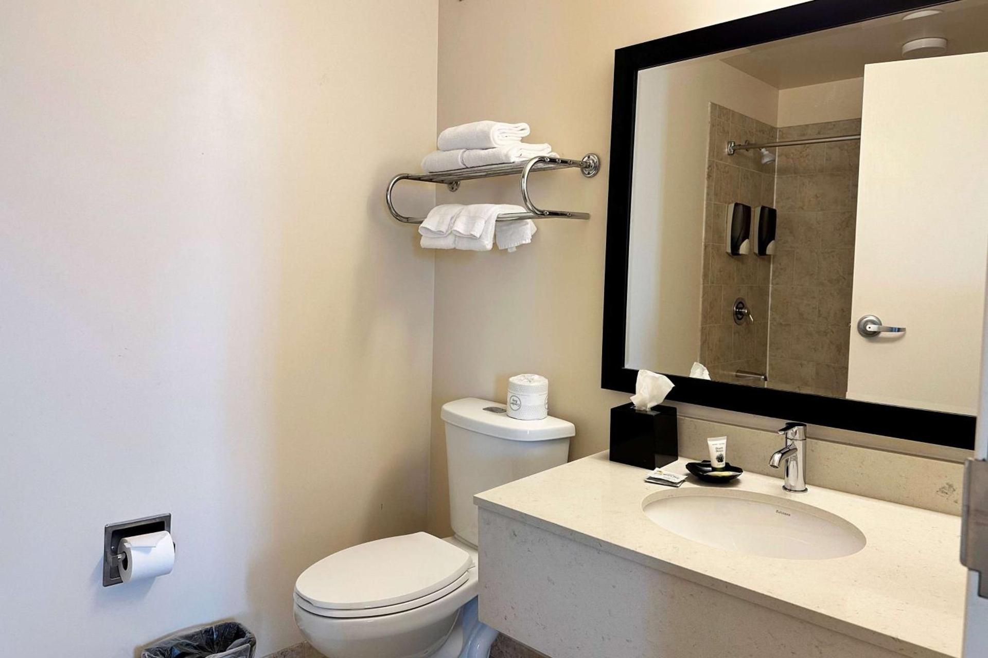 Chicago South Loop Hotel photo 27