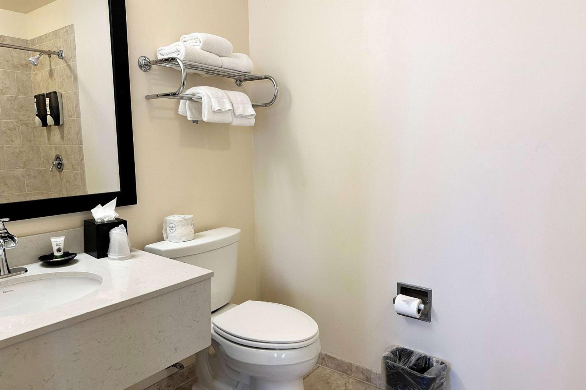 Chicago South Loop Hotel photo 28