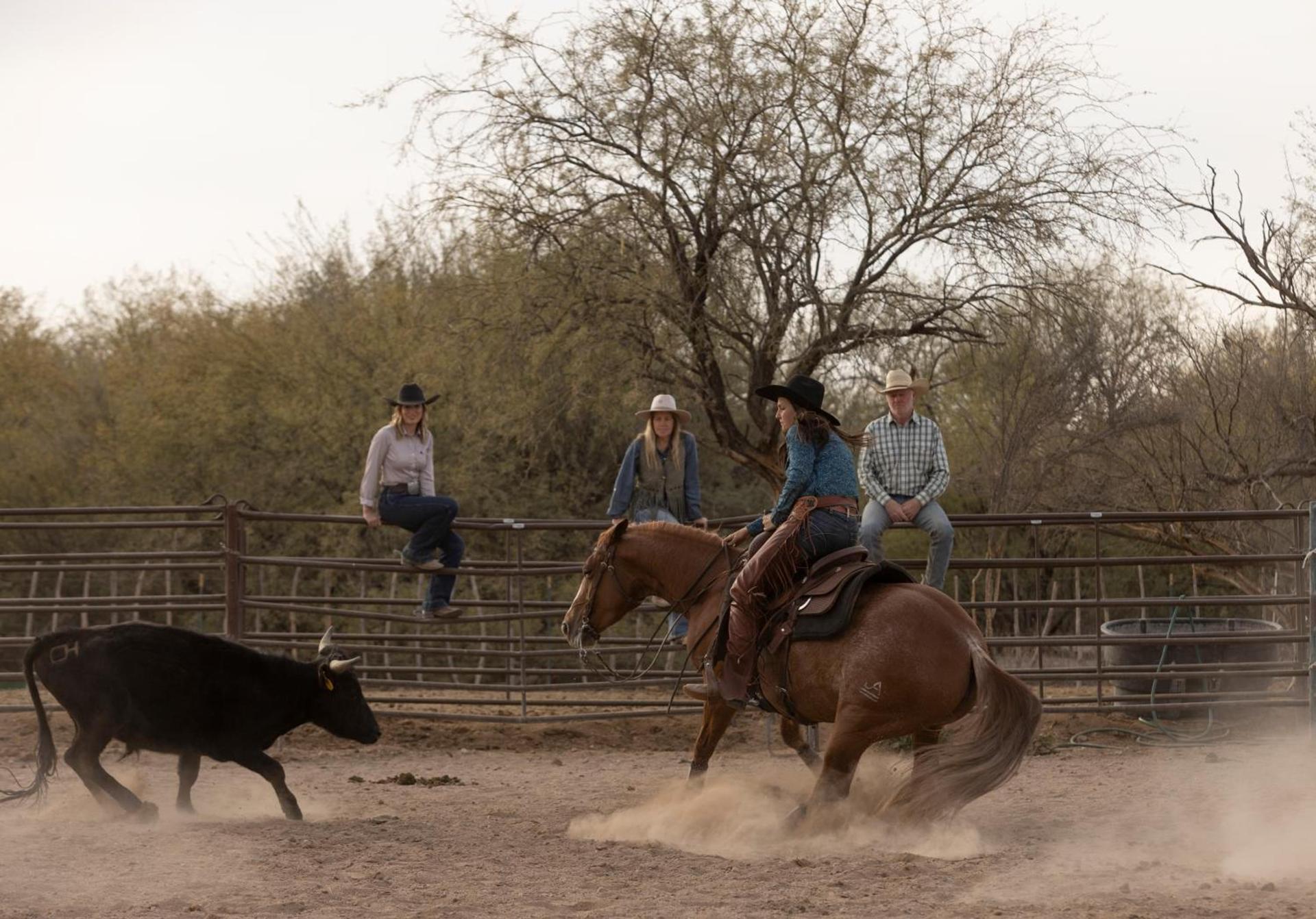Kay El Bar Guest Ranch photo 12