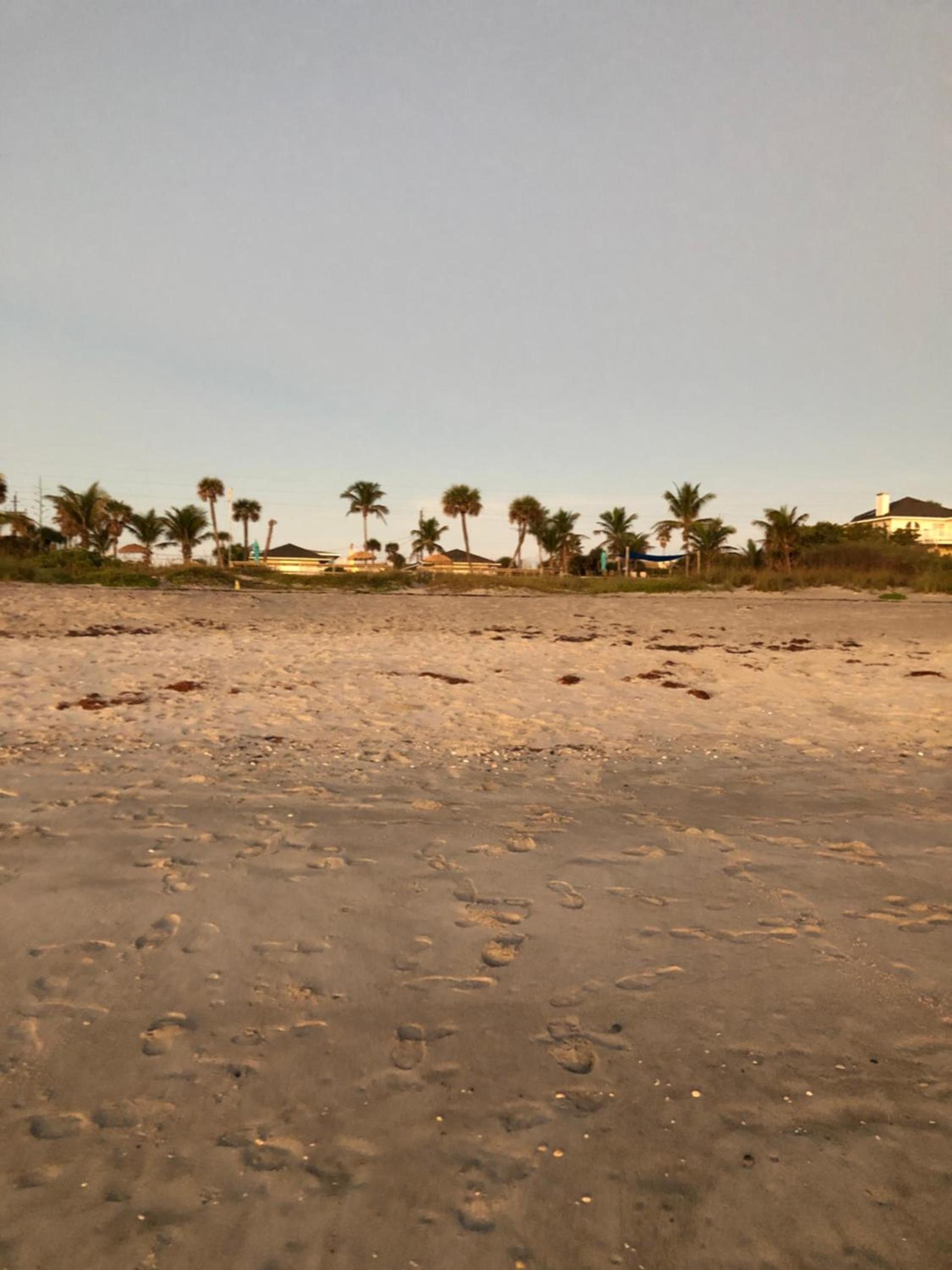 Surf Studio Beach Resort photo 10