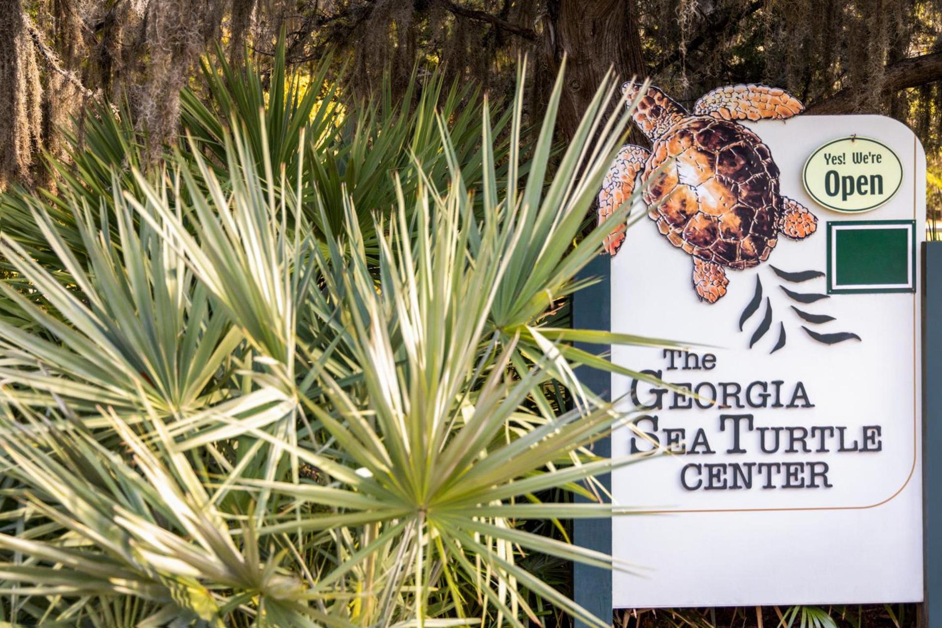 Holiday Inn Resort Jekyll Island by IHG photo 13