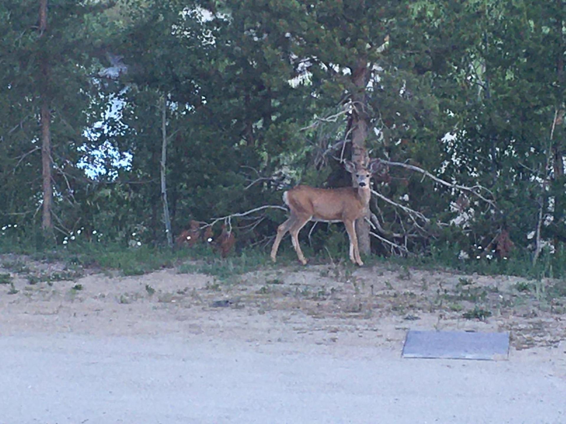 Hideaway Mountain Lodge photo 23