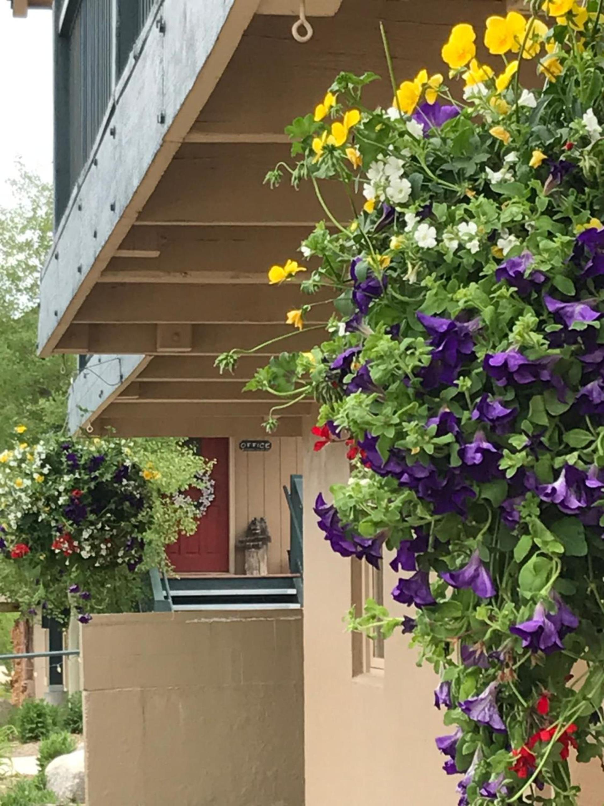 Hideaway Mountain Lodge photo 12